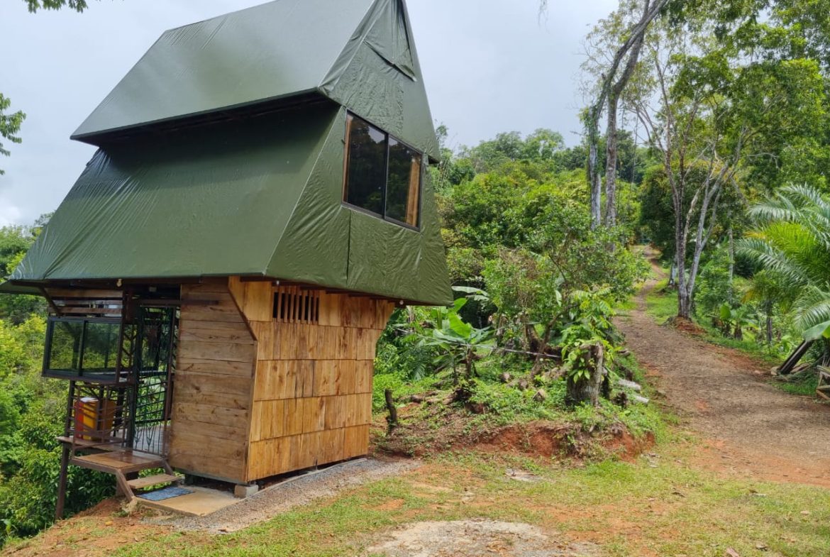 A SEAMLESS BLEND OF NATURE AND COMFORT WITH PAVED ACCESS – 17.1 ACRES