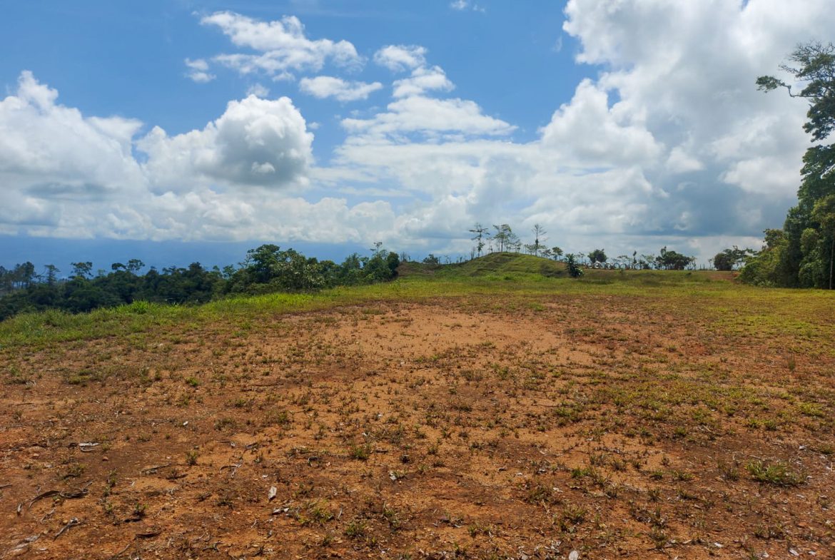 PARORAMIC VIEW OF THE SOUTH PACIFIC COSTS LOT – 3.36 ACRES