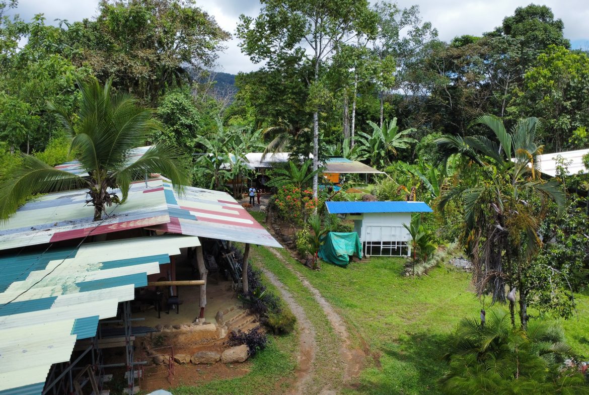 FINCA LA PAZ FARM WITH AMAZING MOUNTAIN VIEWS, CREEK AND COOL CLIMATE – 4 ACRES