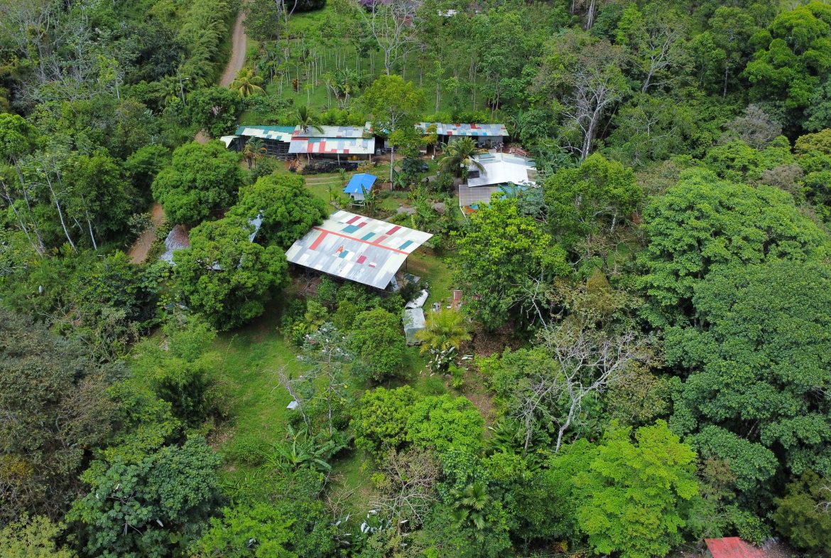 FINCA LA PAZ FARM WITH AMAZING MOUNTAIN VIEWS, CREEK AND COOL CLIMATE – 4 ACRES