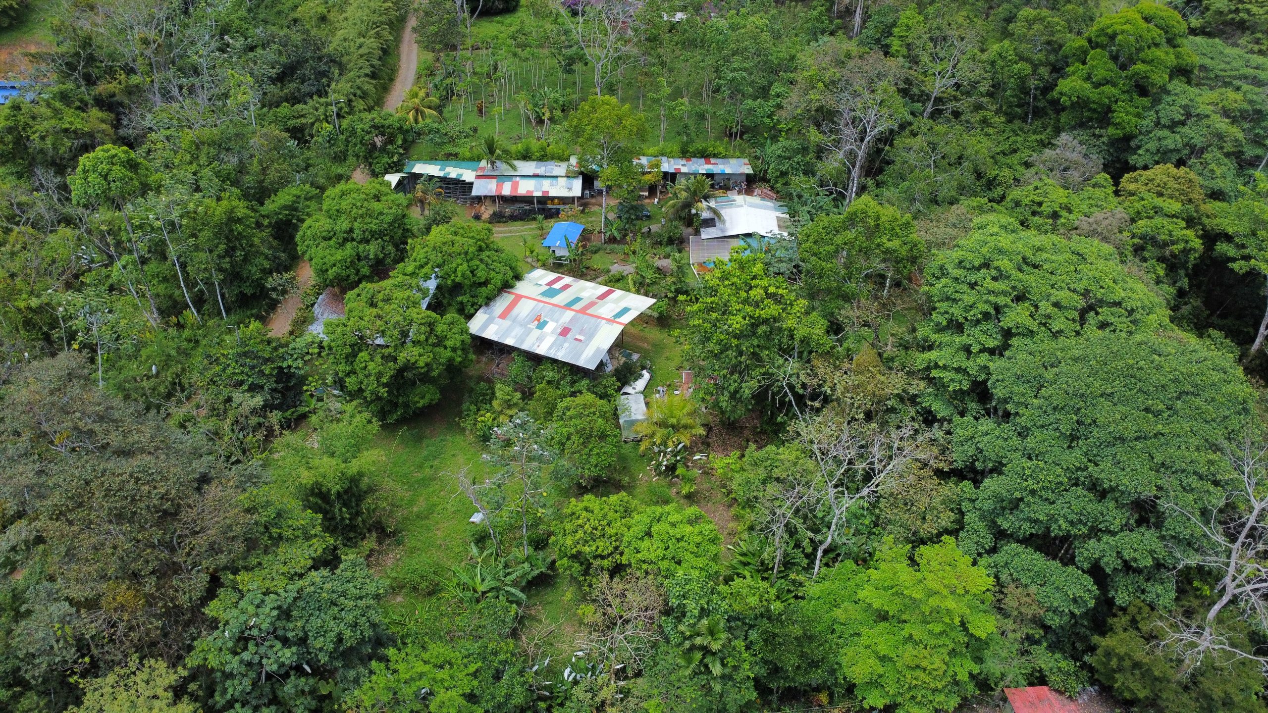 dji_fly_20250518_123720_154_1747593450642_photo_optimized