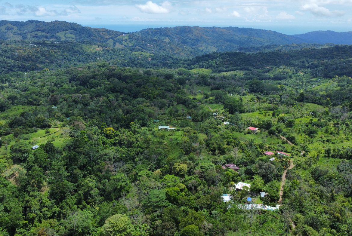 FINCA LA PAZ FARM WITH AMAZING MOUNTAIN VIEWS, CREEK AND COOL CLIMATE – 4 ACRES