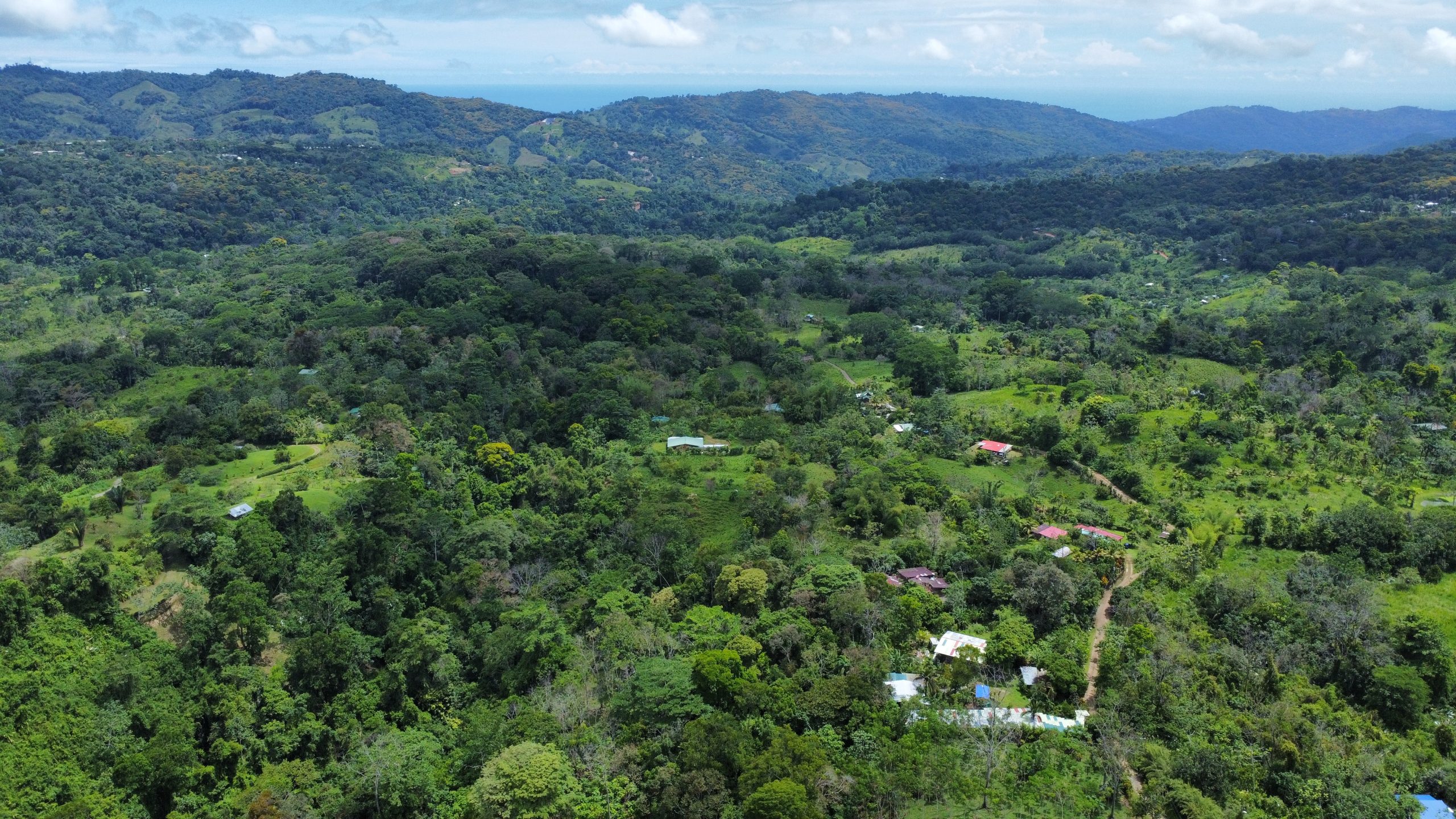 dji_fly_20250518_124058_156_1747593671010_photo_optimized