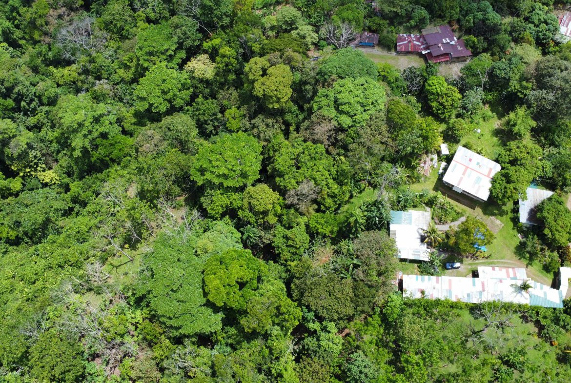 FINCA LA PAZ FARM WITH AMAZING MOUNTAIN VIEWS, CREEK AND COOL CLIMATE – 4 ACRES