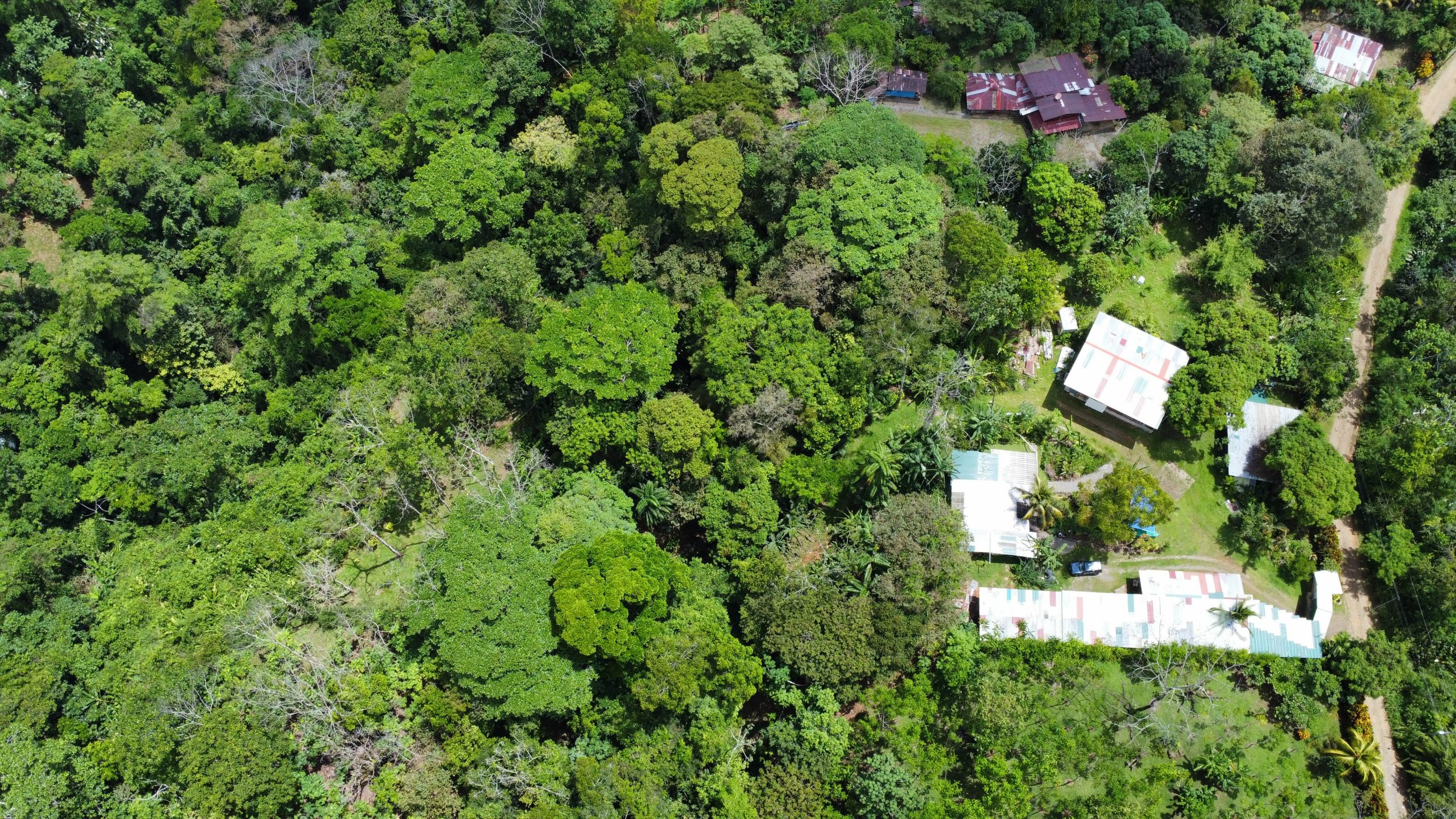 dji_fly_20250518_124204_157_1747593734073_photo_optimized