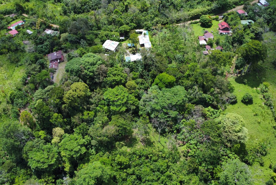 FINCA LA PAZ FARM WITH AMAZING MOUNTAIN VIEWS, CREEK AND COOL CLIMATE – 4 ACRES