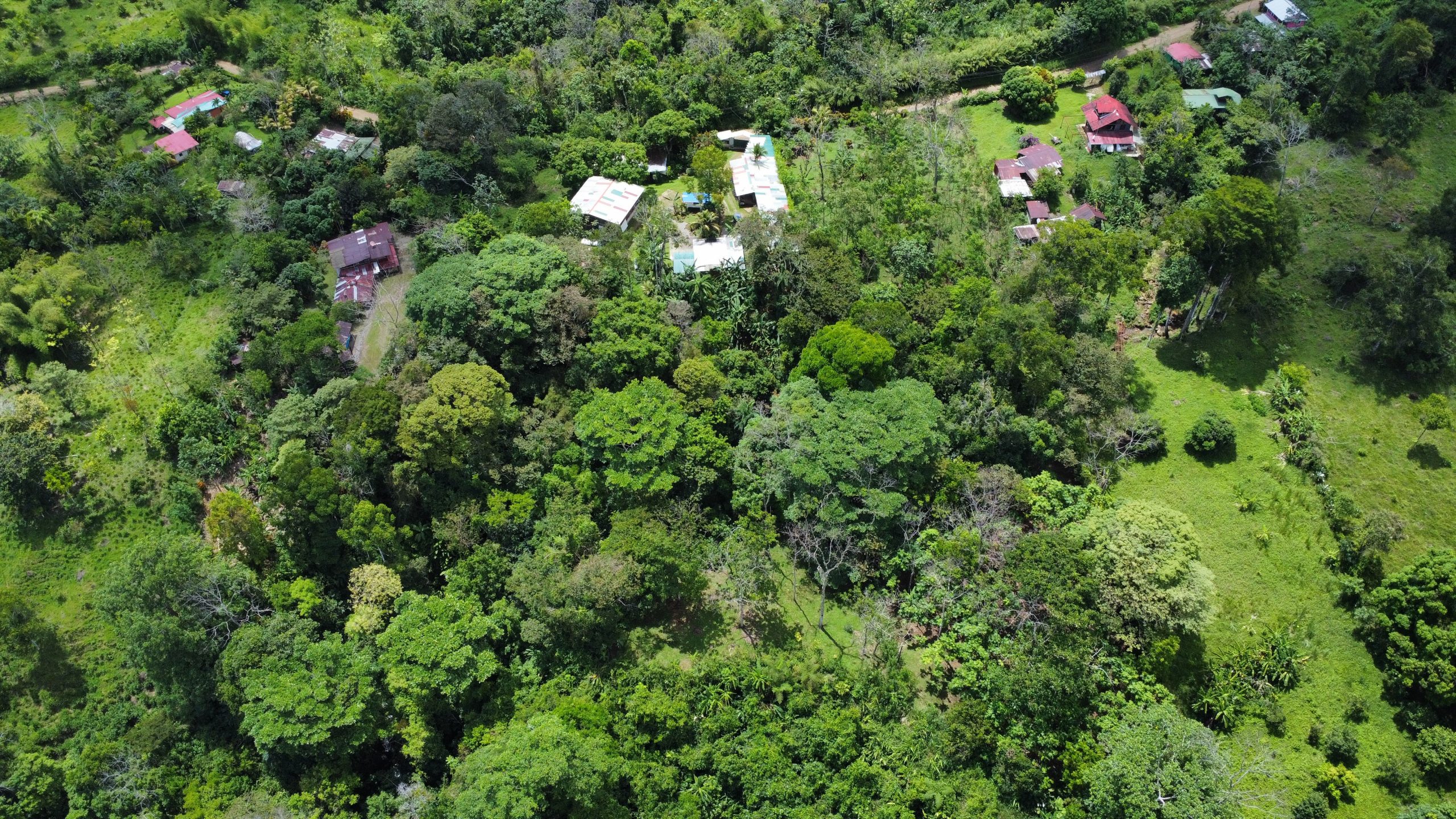 dji_fly_20250518_124242_158_1747593772798_photo_optimized