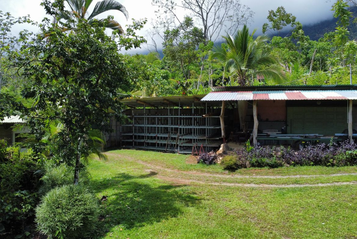FINCA LA PAZ FARM WITH AMAZING MOUNTAIN VIEWS, CREEK AND COOL CLIMATE – 4 ACRES