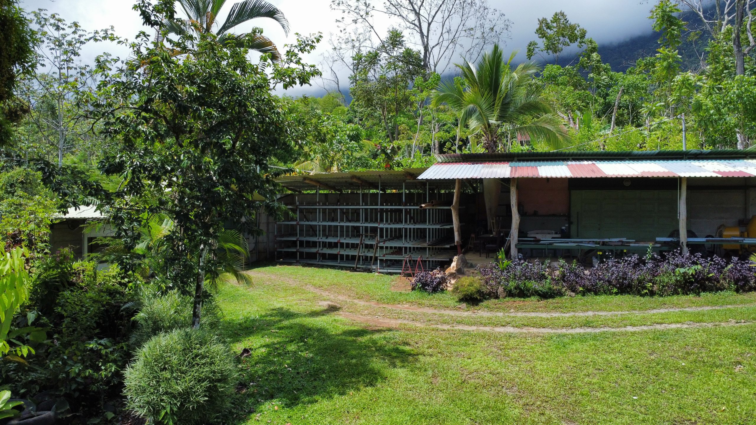 dji_fly_20250518_124644_160_1747594014738_photo_optimized