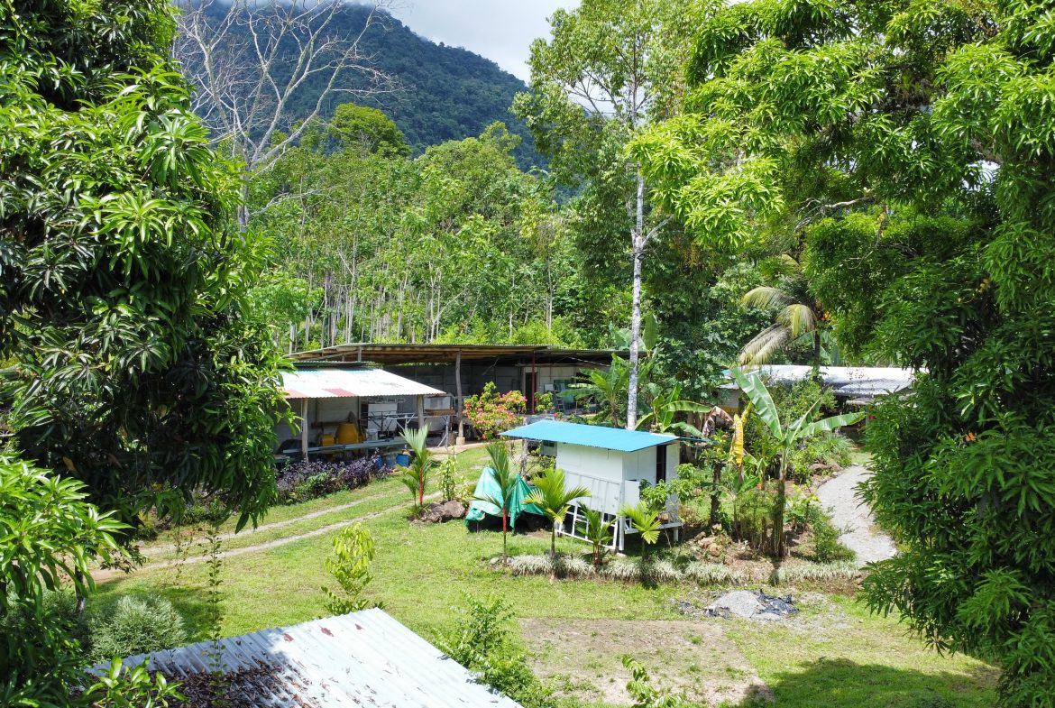 FINCA LA PAZ FARM WITH AMAZING MOUNTAIN VIEWS, CREEK AND COOL CLIMATE – 4 ACRES