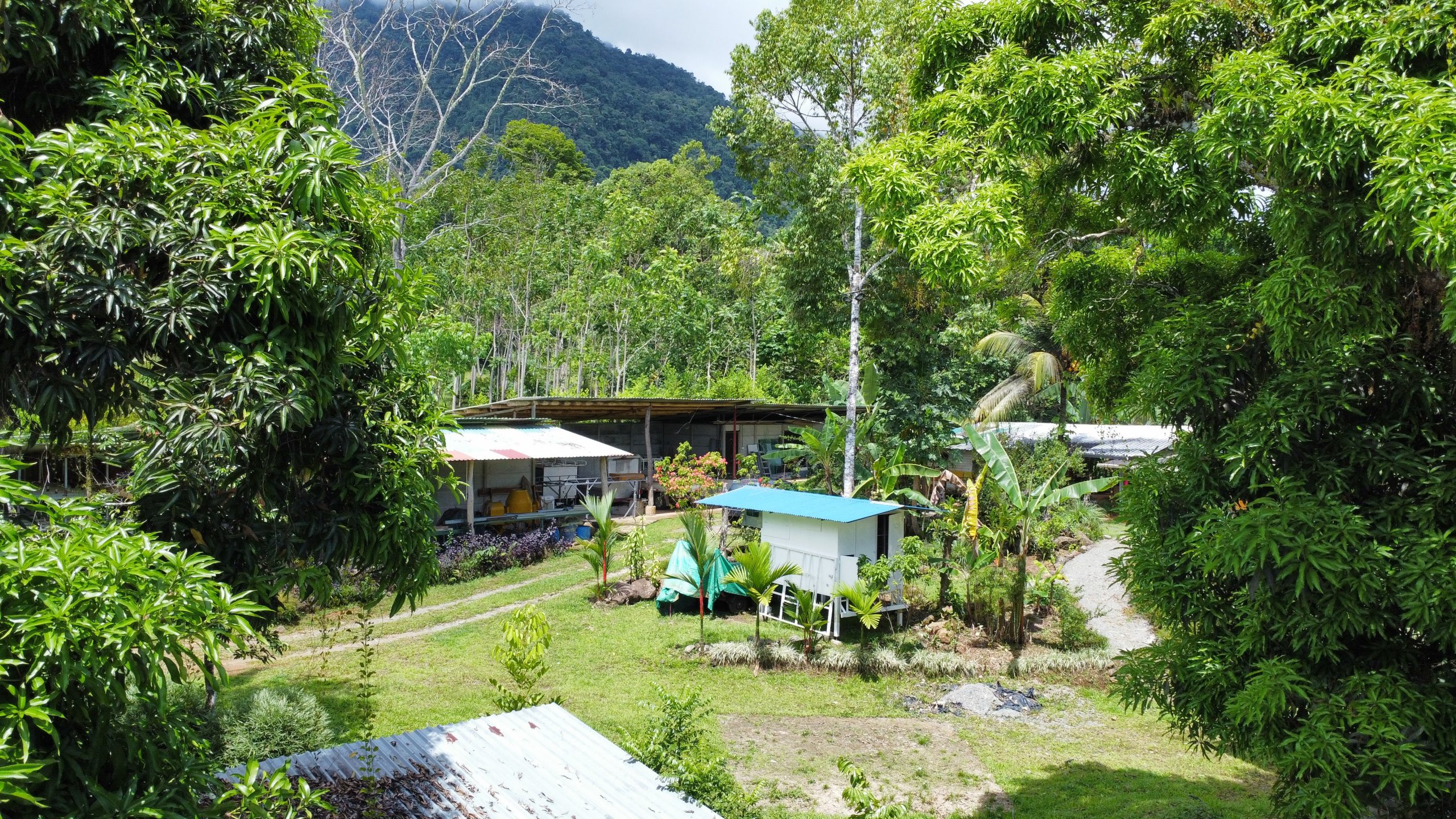 dji_fly_20250518_124750_162_1747594079257_photo_optimized