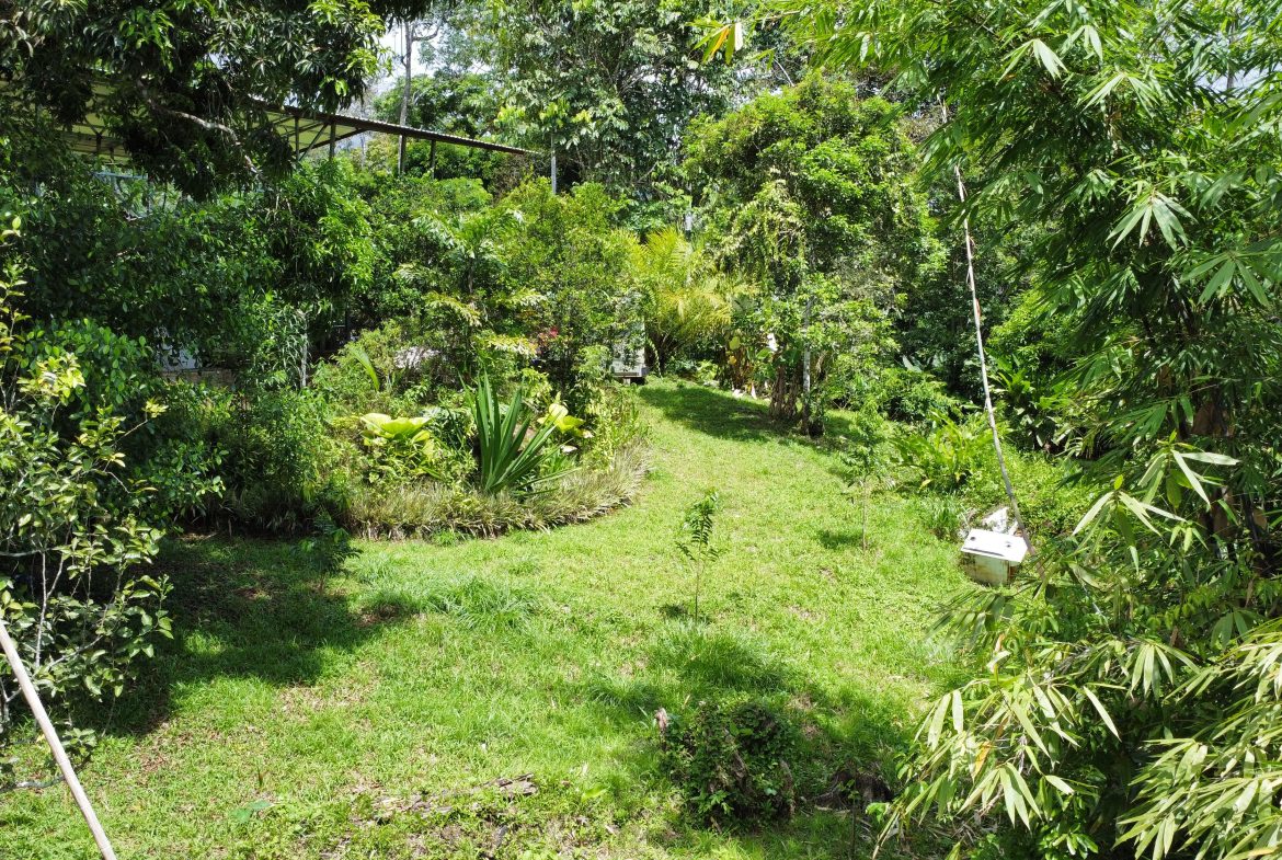 FINCA LA PAZ FARM WITH AMAZING MOUNTAIN VIEWS, CREEK AND COOL CLIMATE – 4 ACRES
