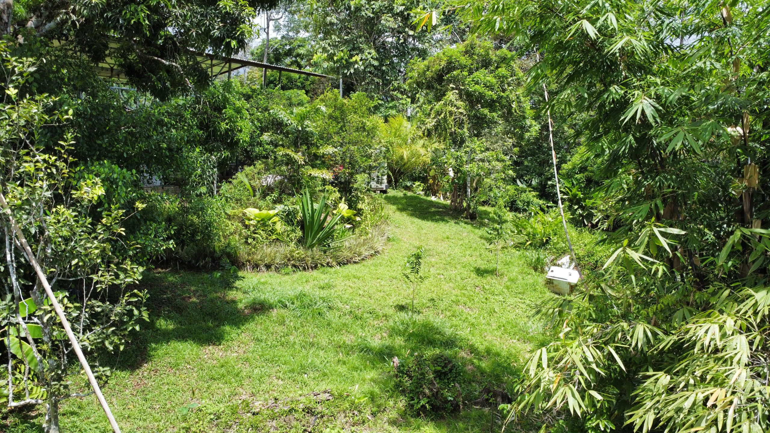 dji_fly_20250518_124850_163_1747594194419_photo_optimized