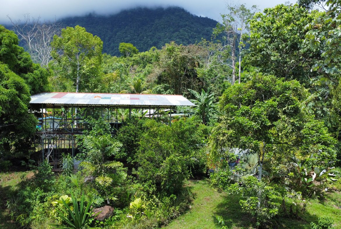 FINCA LA PAZ FARM WITH AMAZING MOUNTAIN VIEWS, CREEK AND COOL CLIMATE – 4 ACRES