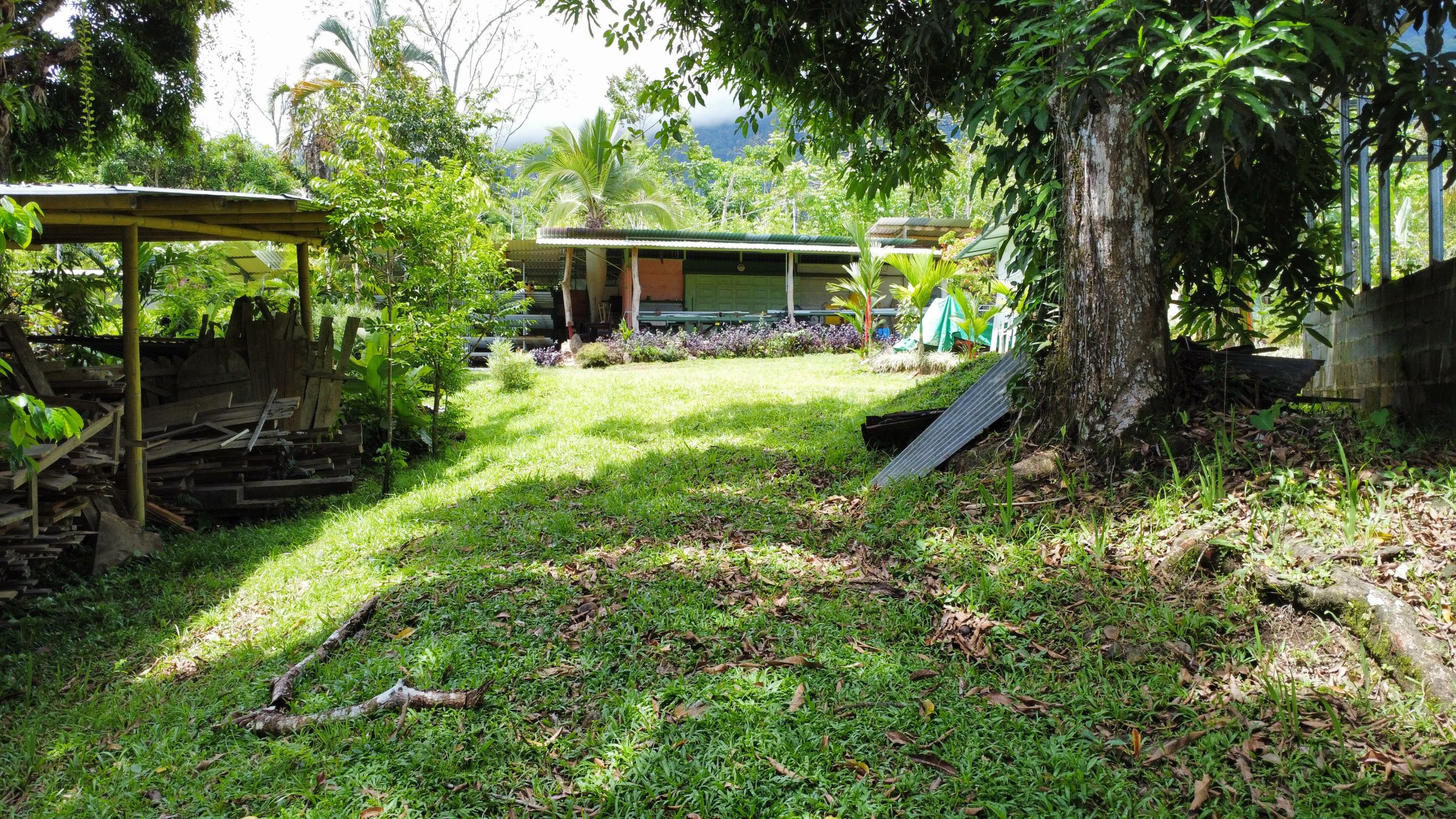 dji_fly_20250518_125028_165_1747594575565_photo_optimized