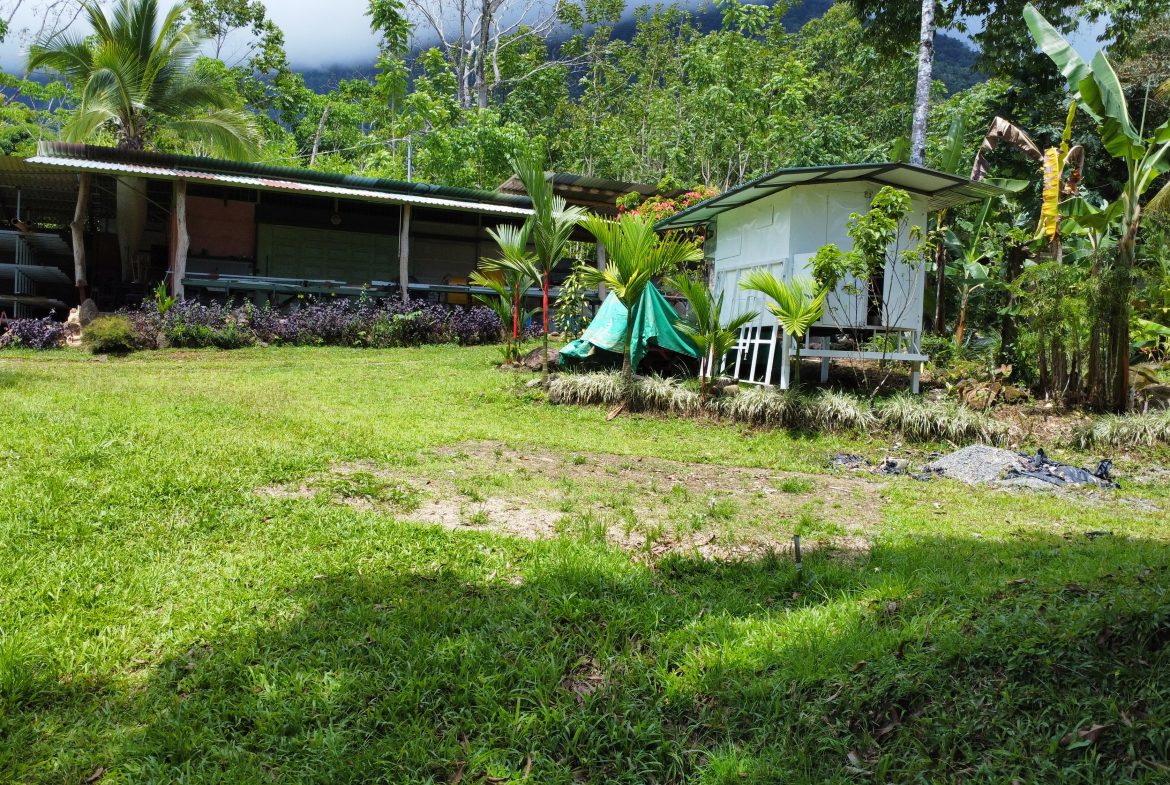 FINCA LA PAZ FARM WITH AMAZING MOUNTAIN VIEWS, CREEK AND COOL CLIMATE – 4 ACRES