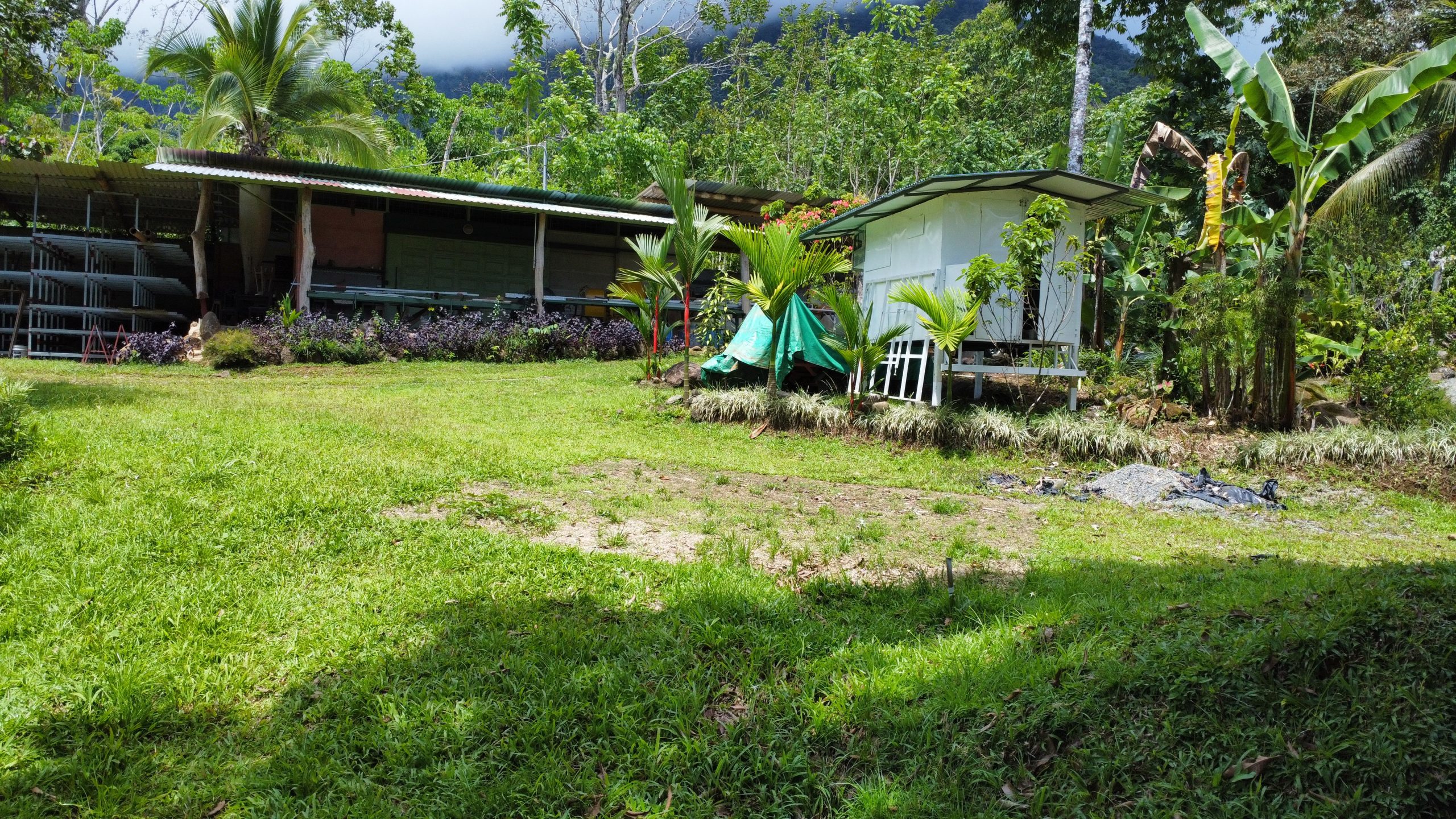 dji_fly_20250518_125100_166_1747594574213_photo_optimized