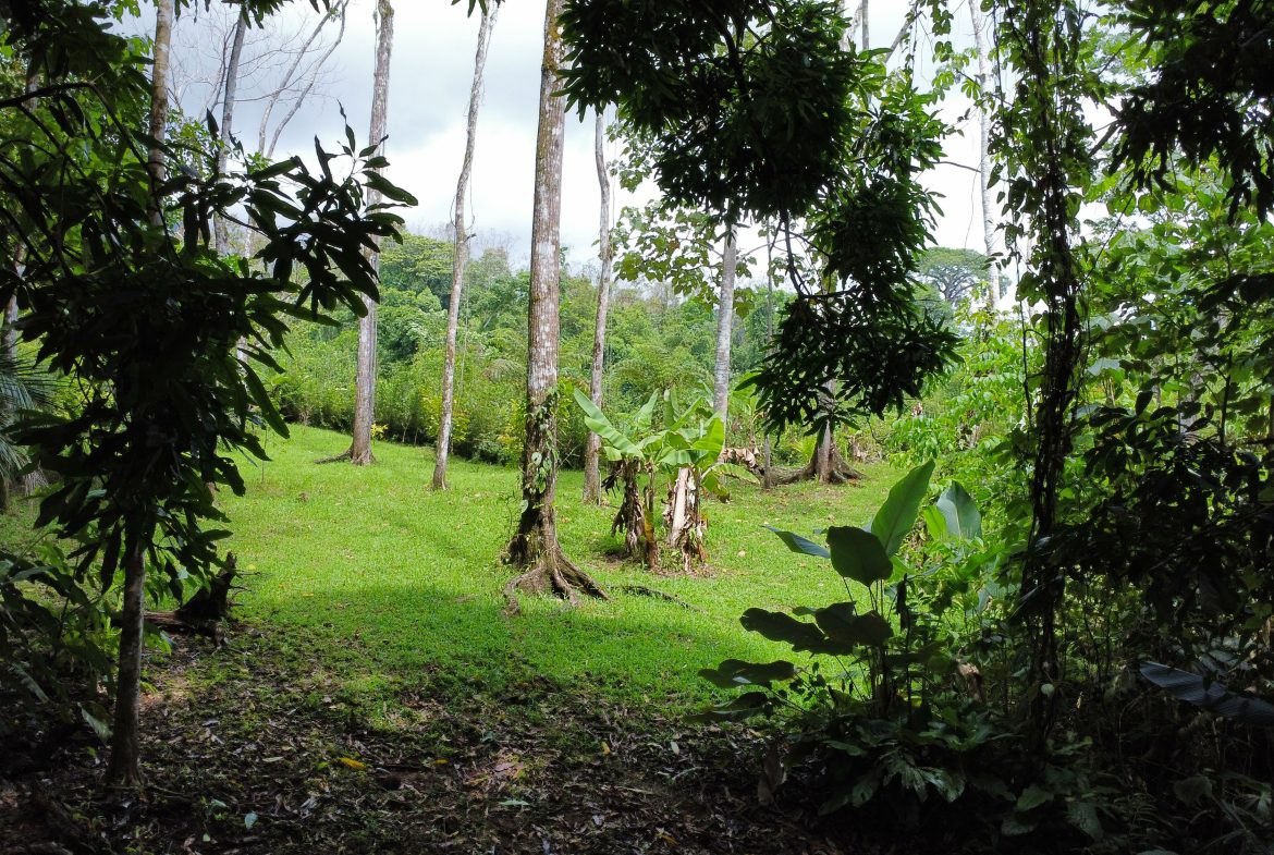 FINCA LA PAZ FARM WITH AMAZING MOUNTAIN VIEWS, CREEK AND COOL CLIMATE – 4 ACRES