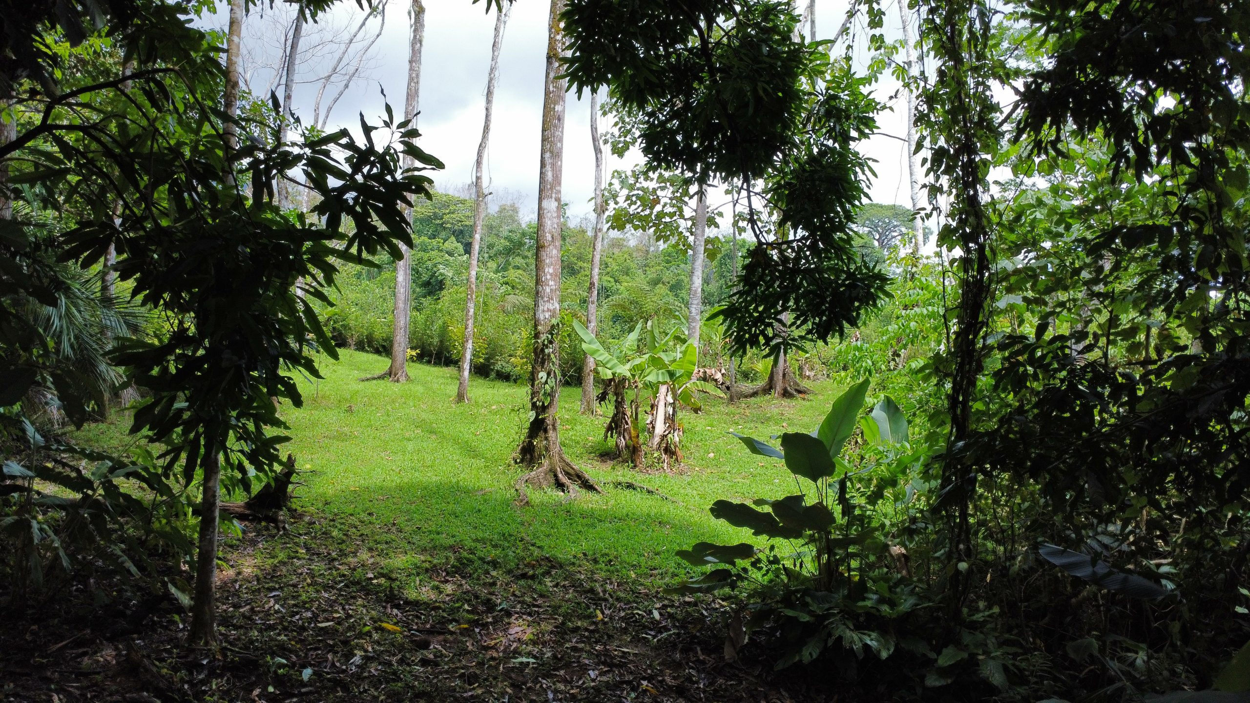 dji_fly_20250518_125526_167_1747594572899_photo_optimized