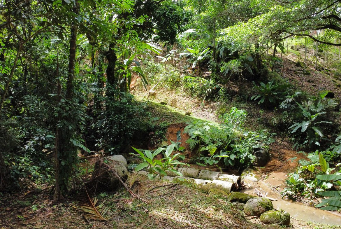FINCA LA PAZ FARM WITH AMAZING MOUNTAIN VIEWS, CREEK AND COOL CLIMATE – 4 ACRES