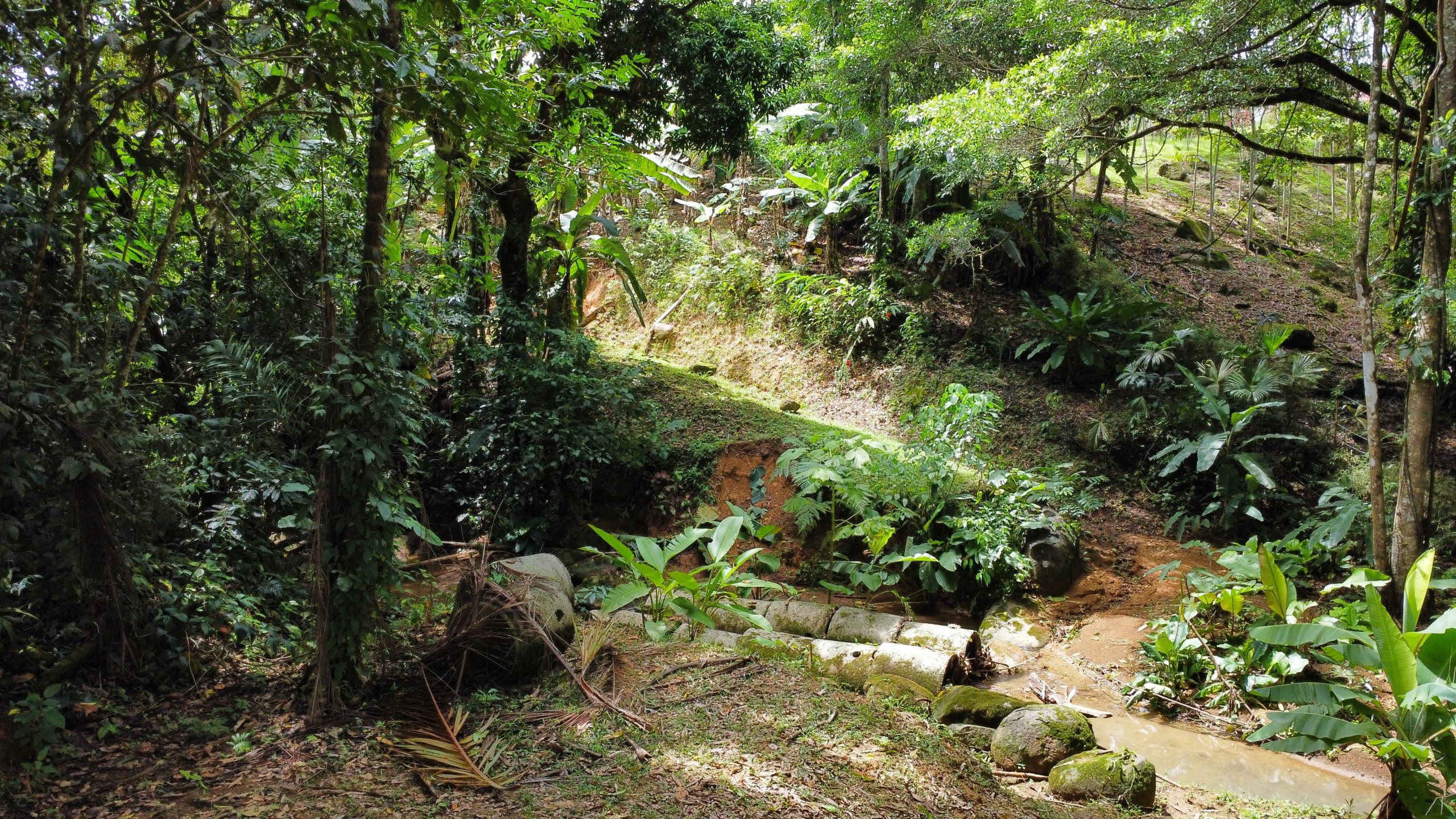 dji_fly_20250518_125548_168_1747594565213_photo_optimized