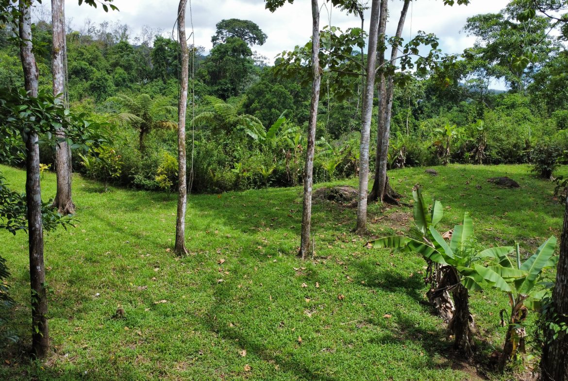 FINCA LA PAZ FARM WITH AMAZING MOUNTAIN VIEWS, CREEK AND COOL CLIMATE – 4 ACRES