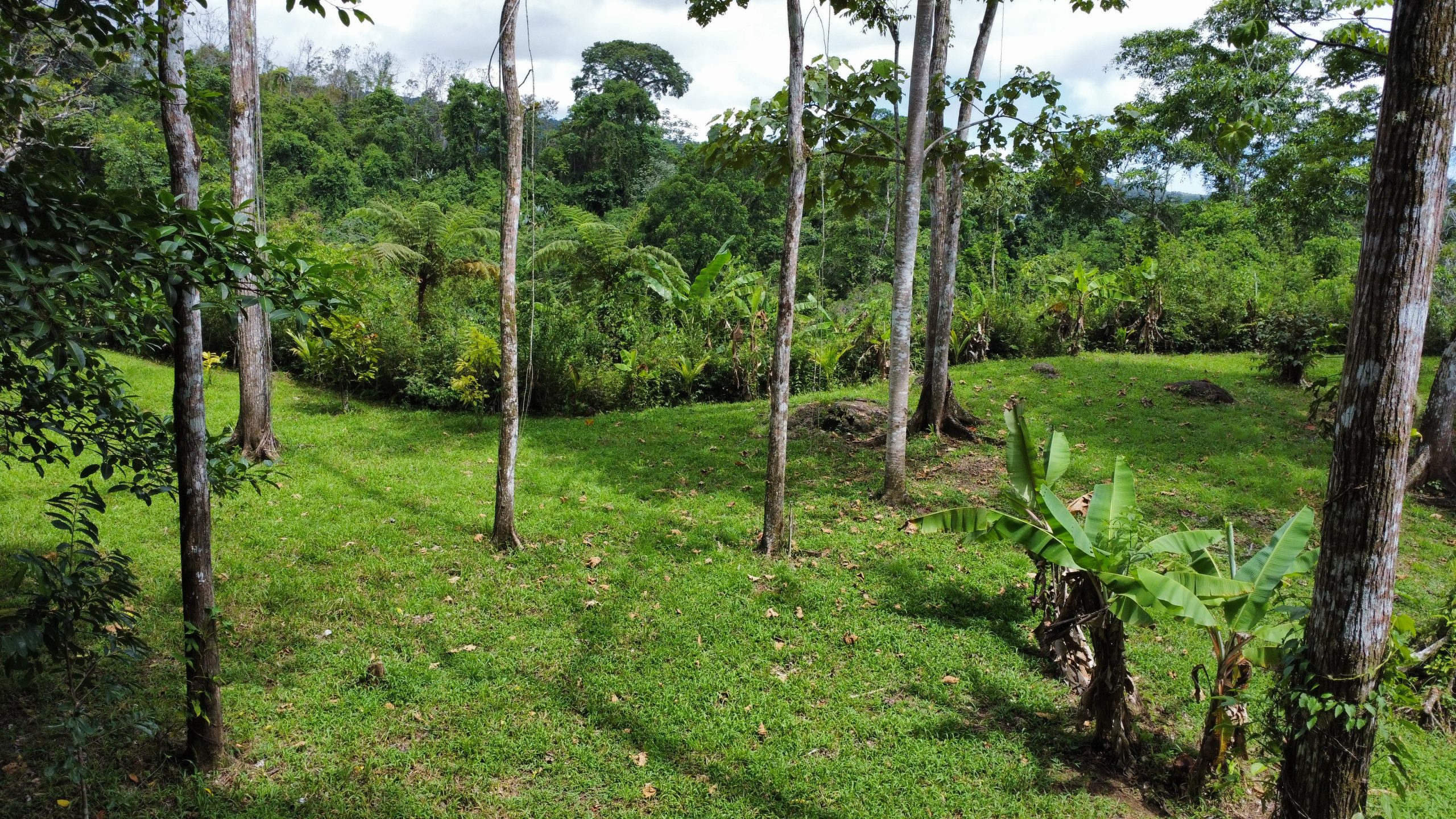 dji_fly_20250518_125642_169_1747594611335_photo_optimized