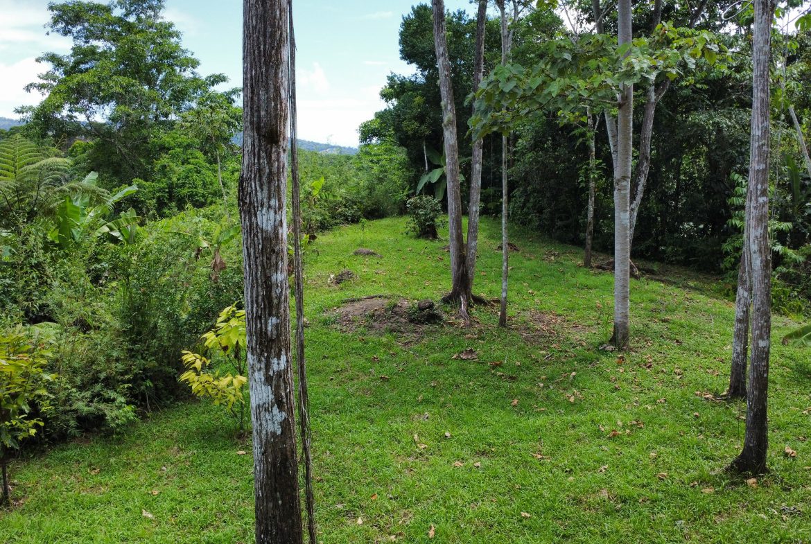 FINCA LA PAZ FARM WITH AMAZING MOUNTAIN VIEWS, CREEK AND COOL CLIMATE – 4 ACRES