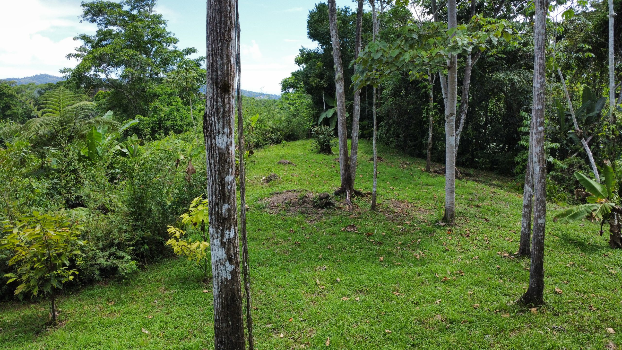 dji_fly_20250518_125708_170_1747594653889_photo_optimized