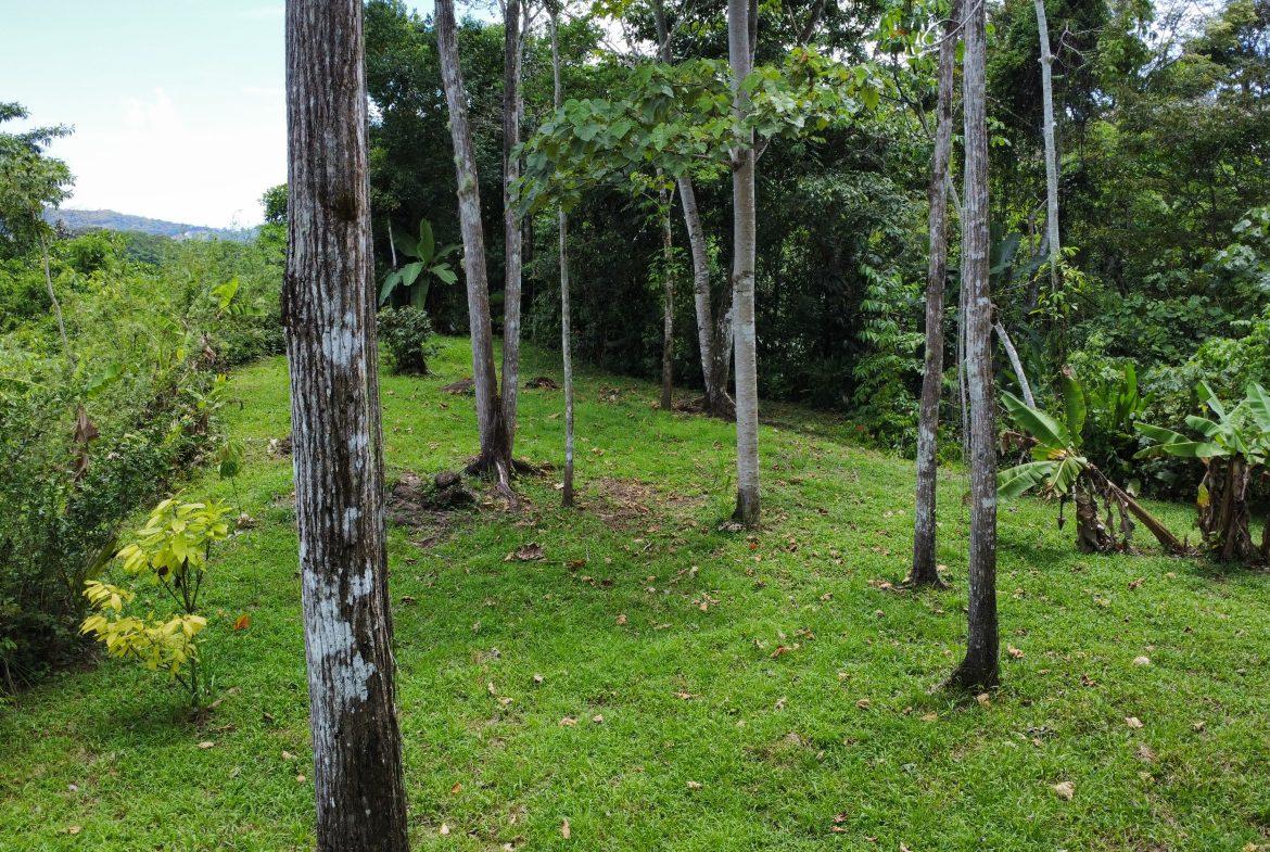 FINCA LA PAZ FARM WITH AMAZING MOUNTAIN VIEWS, CREEK AND COOL CLIMATE – 4 ACRES