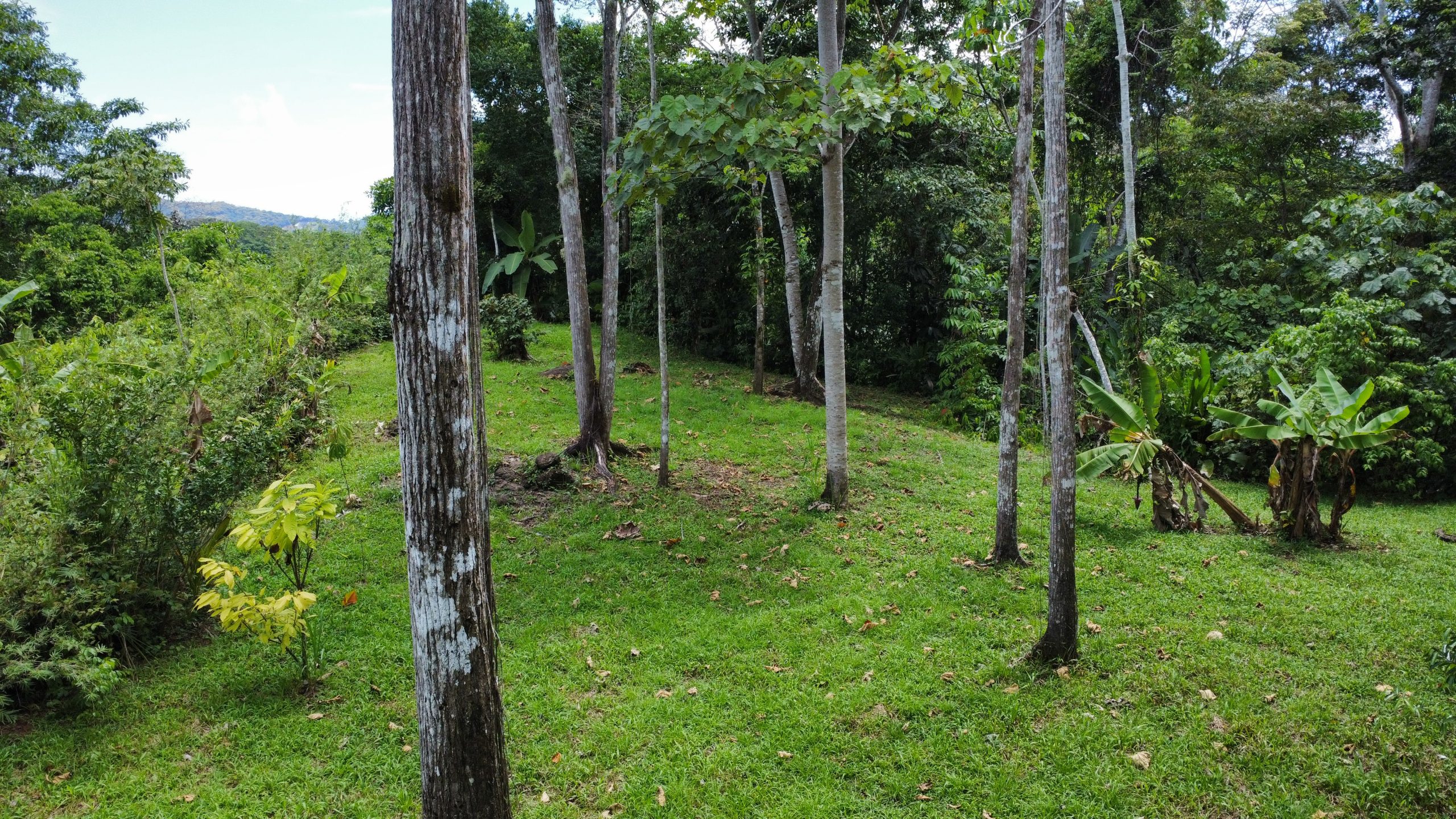 dji_fly_20250518_125716_171_1747594645321_photo_optimized