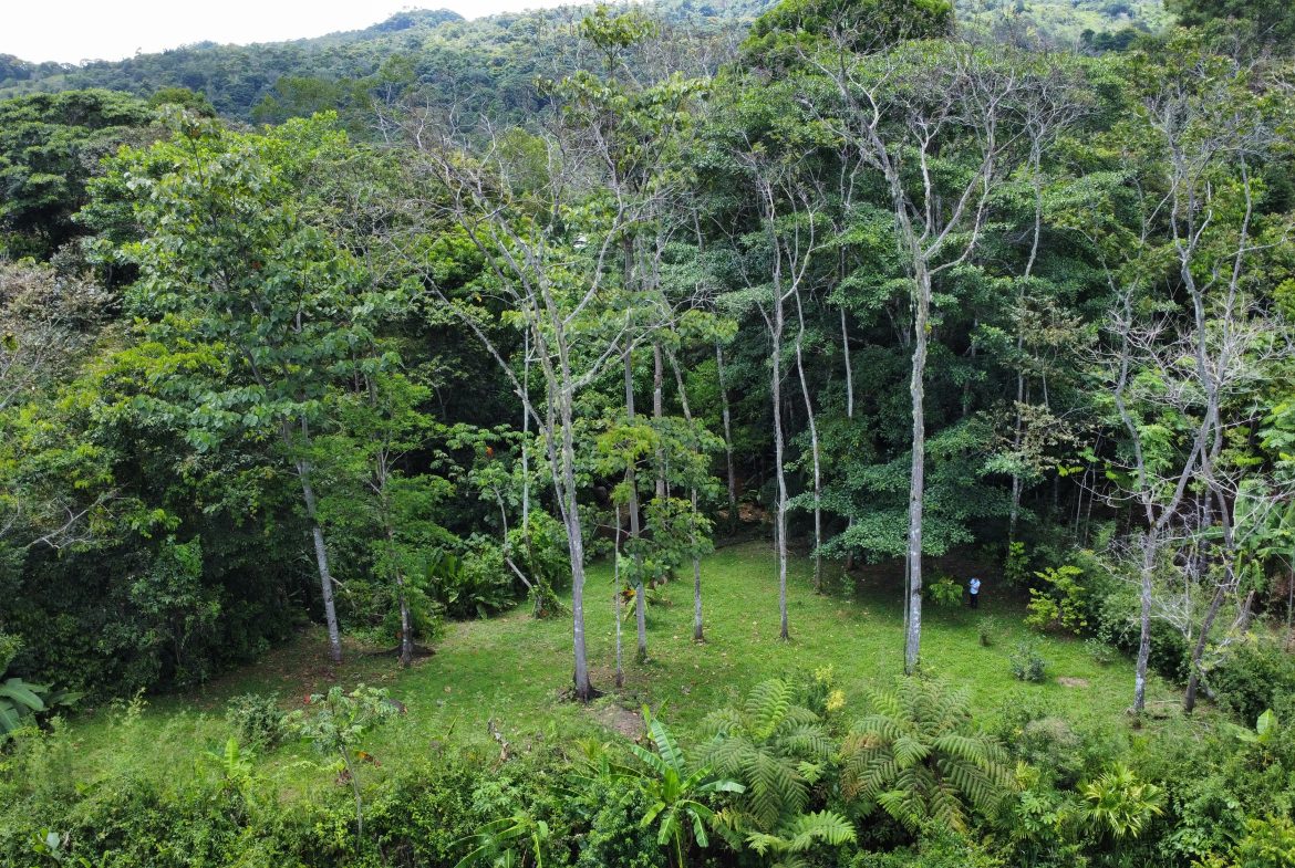 FINCA LA PAZ FARM WITH AMAZING MOUNTAIN VIEWS, CREEK AND COOL CLIMATE – 4 ACRES