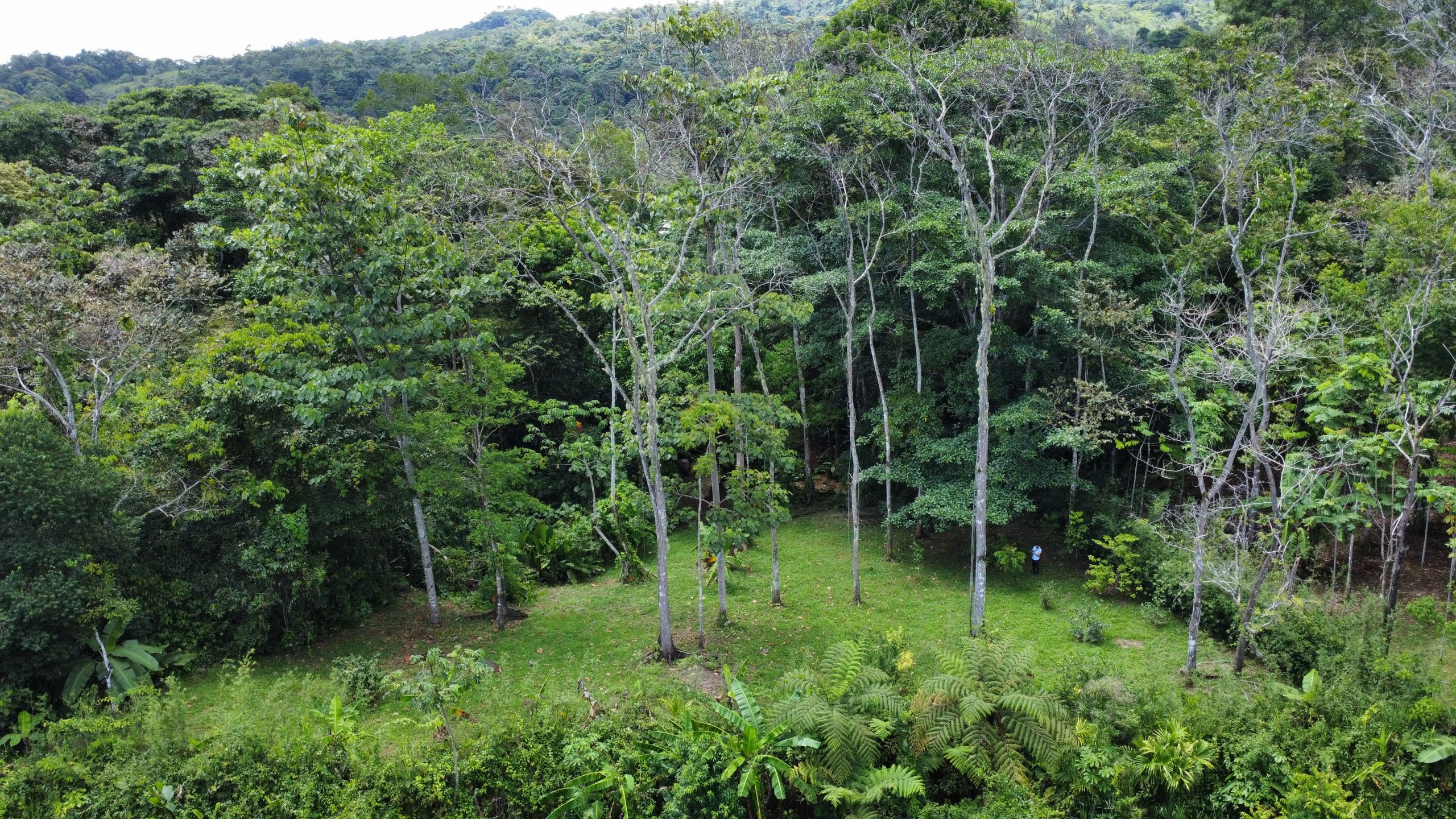 dji_fly_20250518_125806_173_1747594885188_photo_optimized