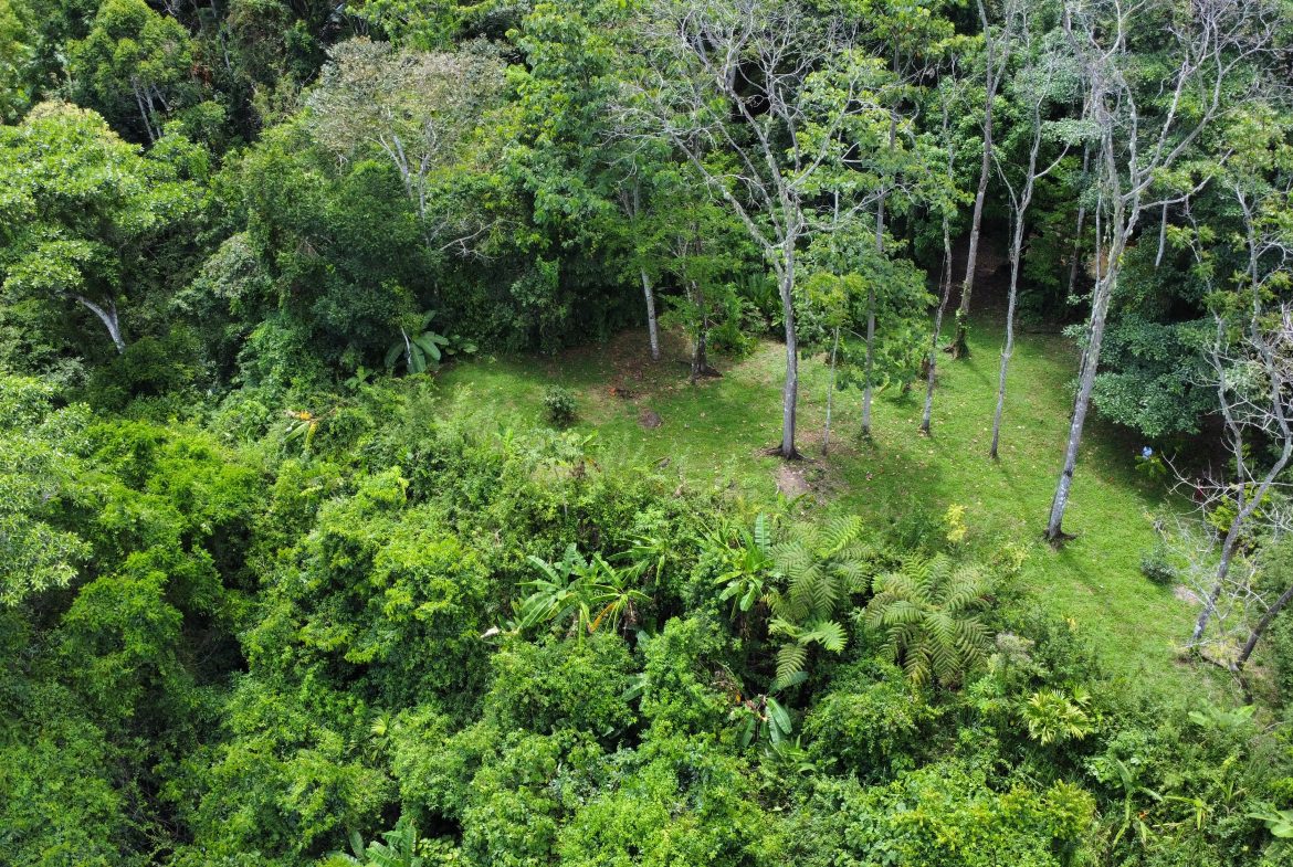 FINCA LA PAZ FARM WITH AMAZING MOUNTAIN VIEWS, CREEK AND COOL CLIMATE – 4 ACRES