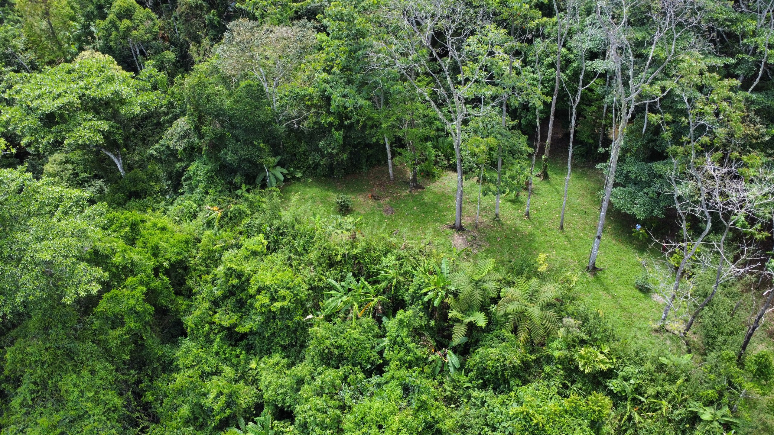 dji_fly_20250518_130118_175_1747594888404_photo_optimized