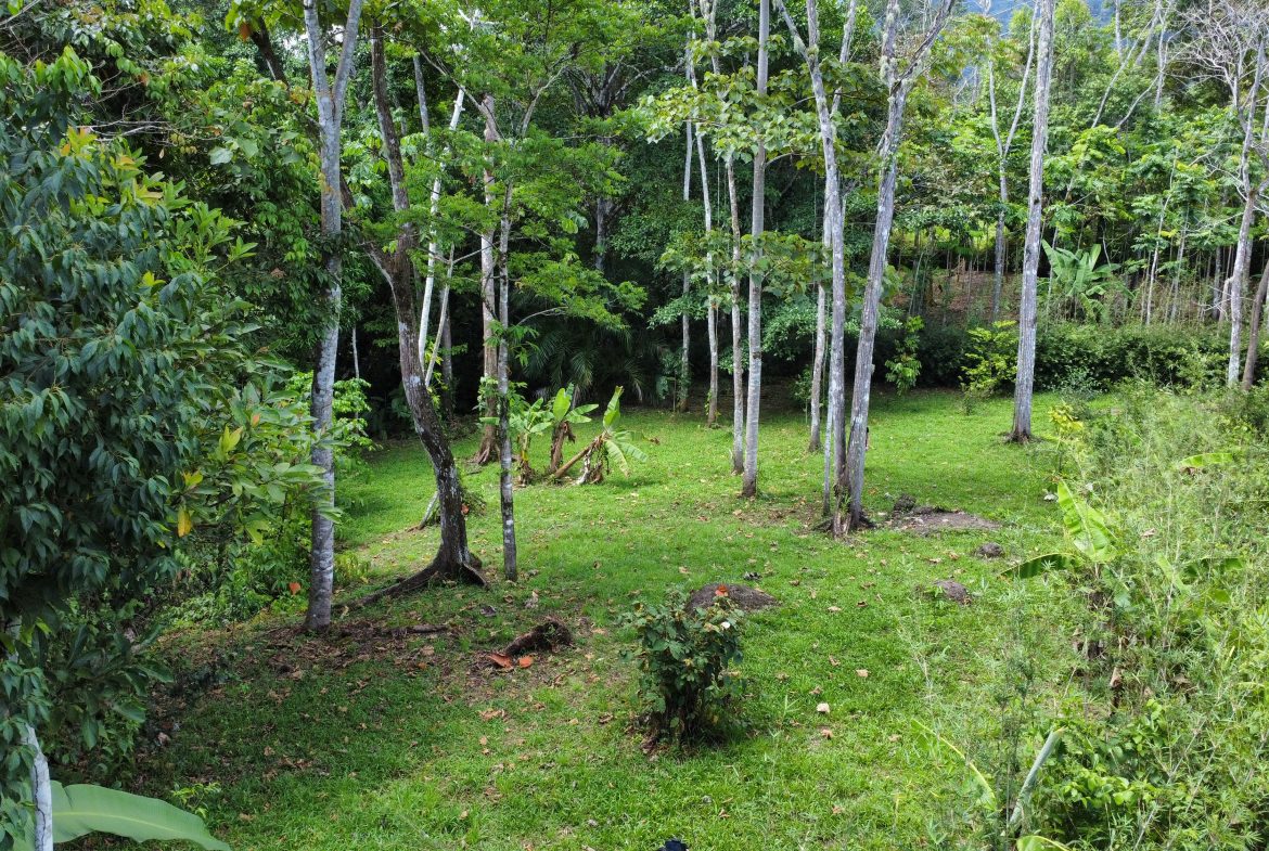 FINCA LA PAZ FARM WITH AMAZING MOUNTAIN VIEWS, CREEK AND COOL CLIMATE – 4 ACRES