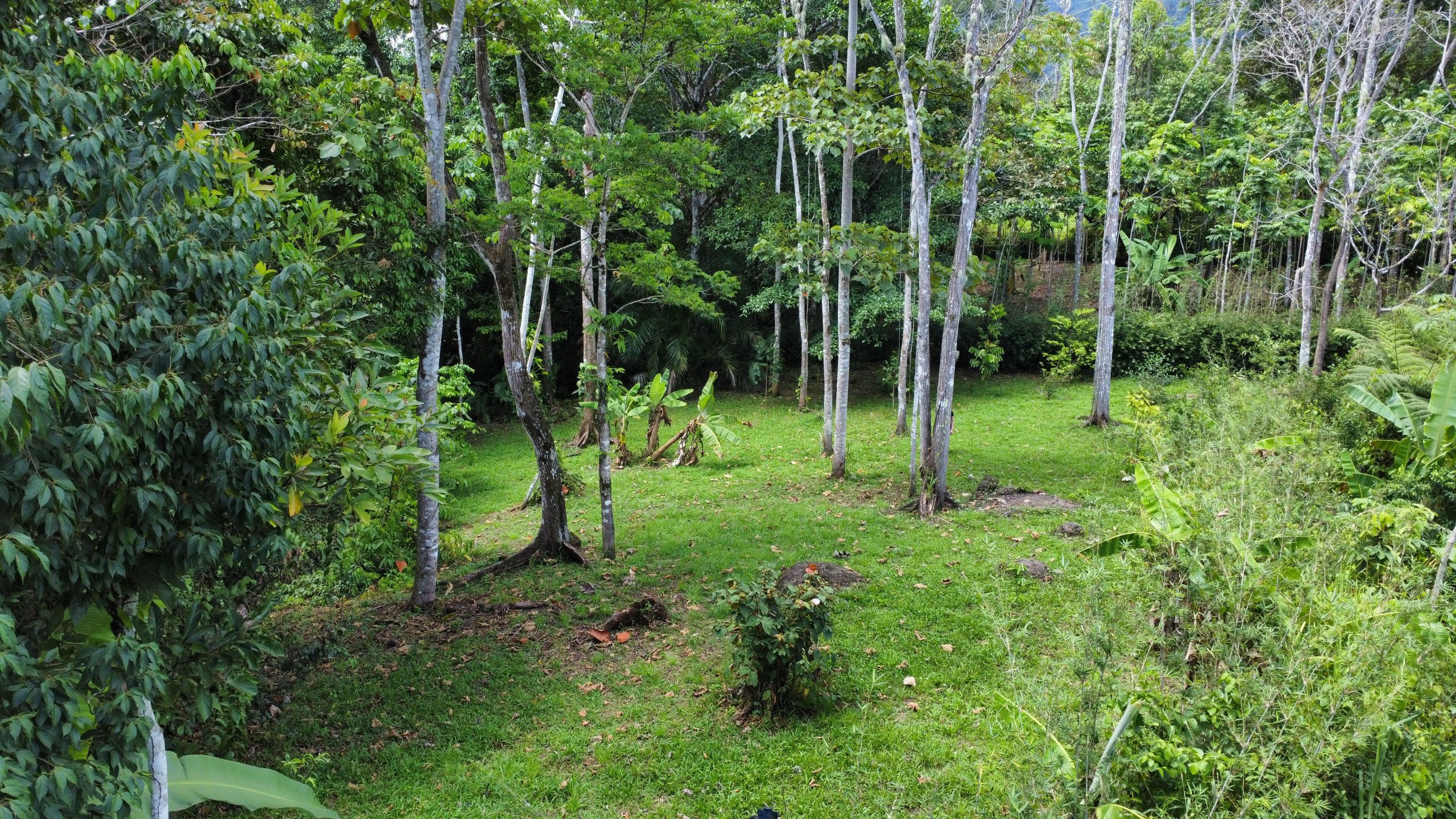 dji_fly_20250518_130250_176_1747594981046_photo_optimized