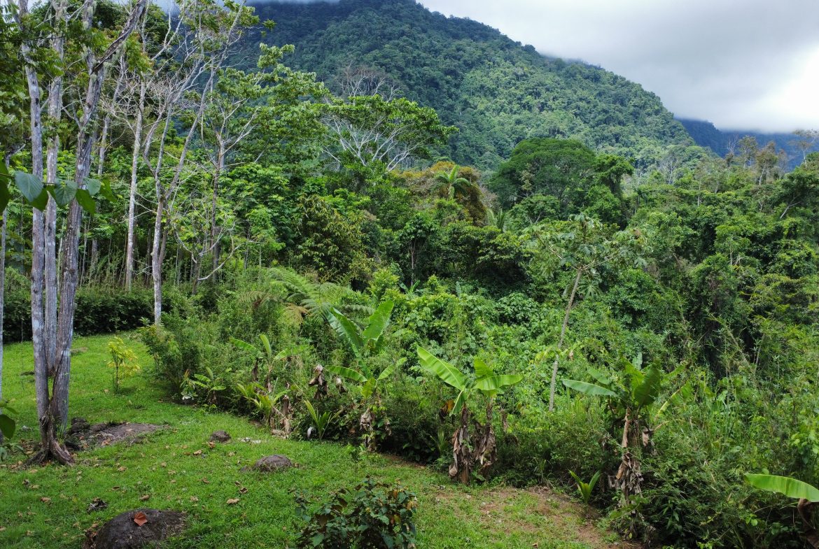 FINCA LA PAZ FARM WITH AMAZING MOUNTAIN VIEWS, CREEK AND COOL CLIMATE – 4 ACRES