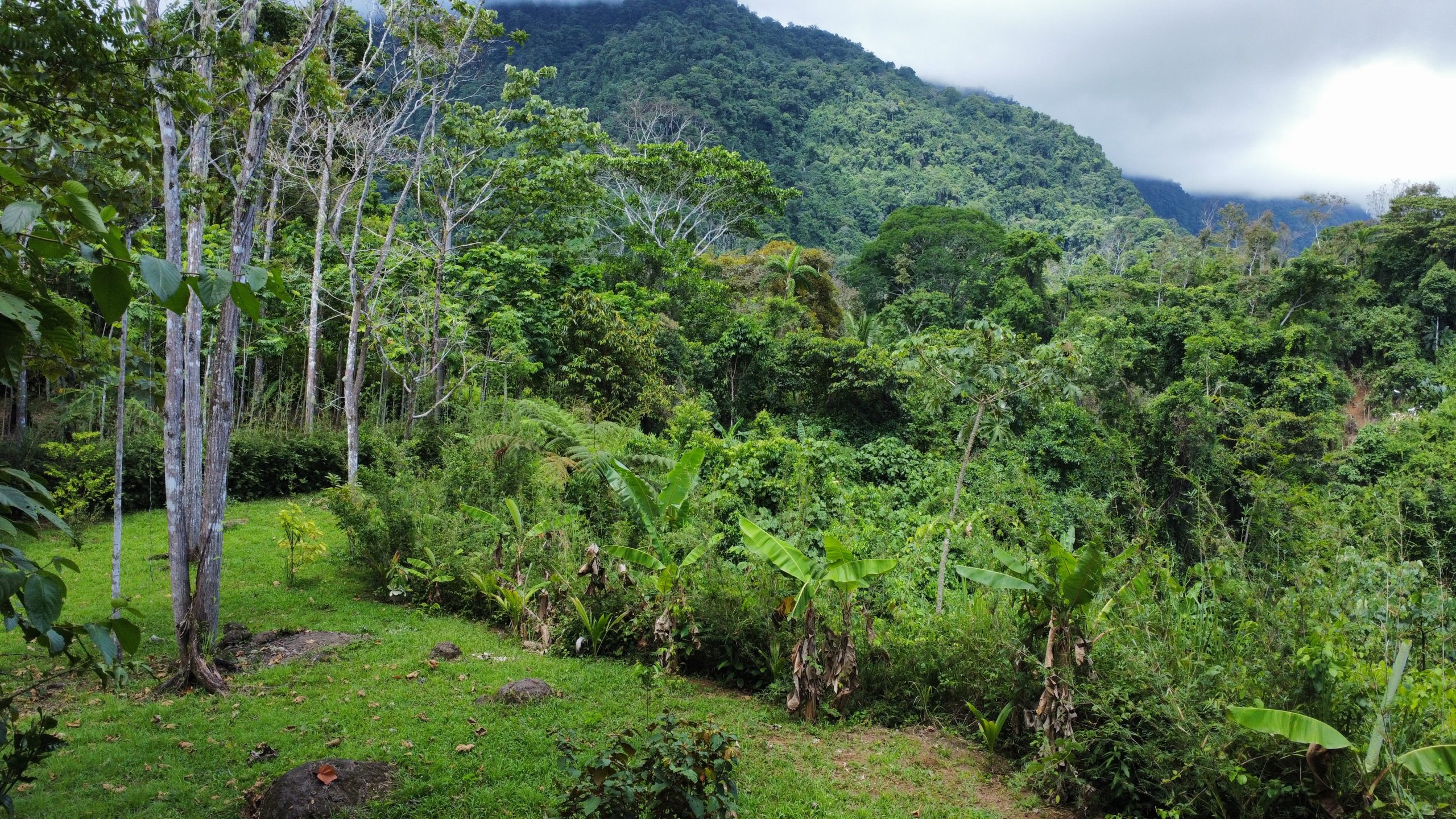 dji_fly_20250518_130318_177_1747595009147_photo_optimized