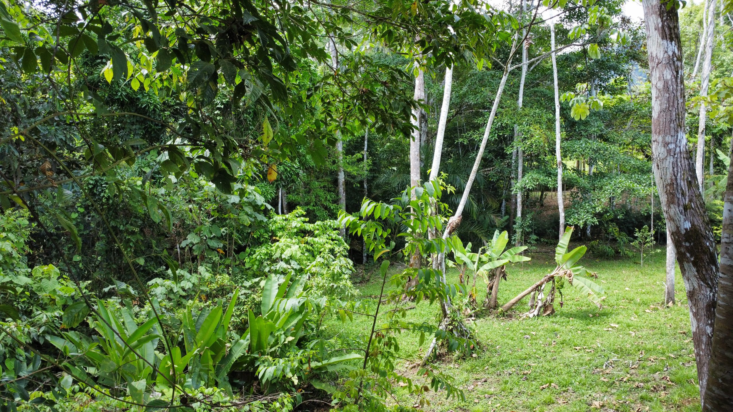 dji_fly_20250518_130414_179_1747595067894_photo_optimized