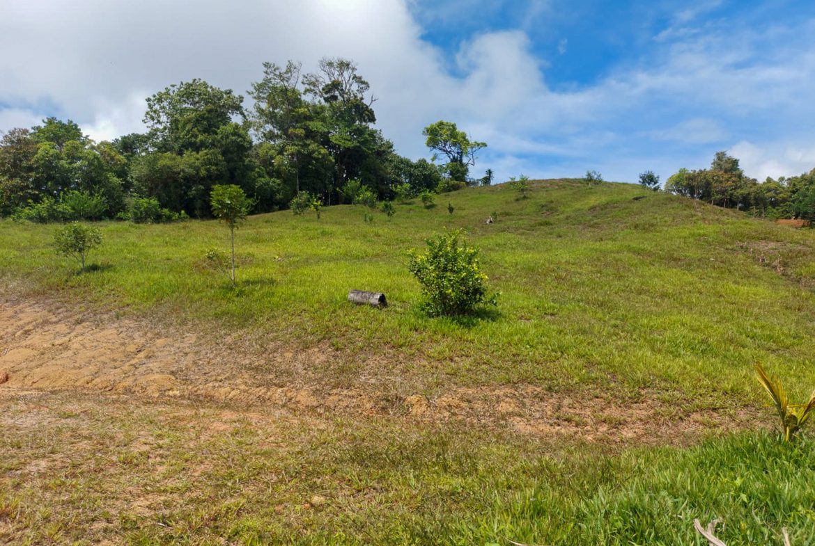 PARORAMIC VIEW OF THE SOUTH PACIFIC COSTS LOT – 3.36 ACRES
