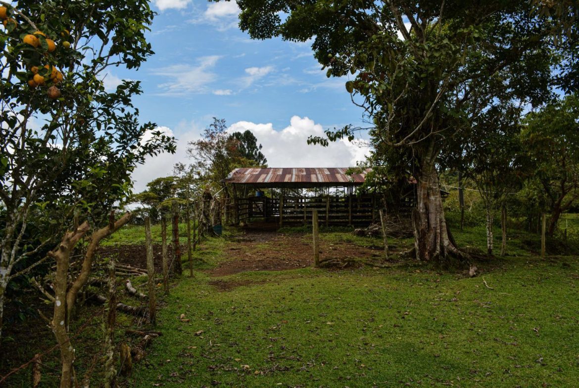 IMPRESSIVE FINCA RIO SAN ANTONIO – 263.9 ACRES