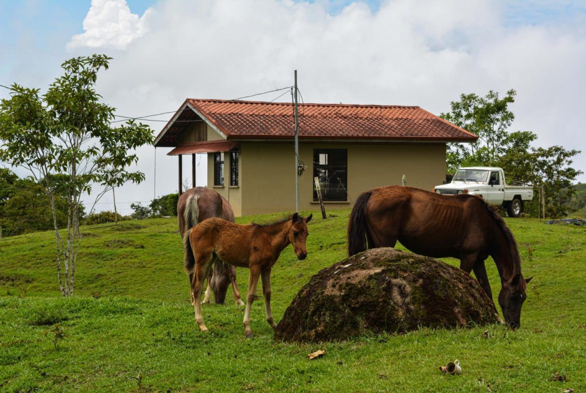 IMPRESSIVE FINCA RIO SAN ANTONIO – 263.9 ACRES, Uvita, Costa Rica — photo 2