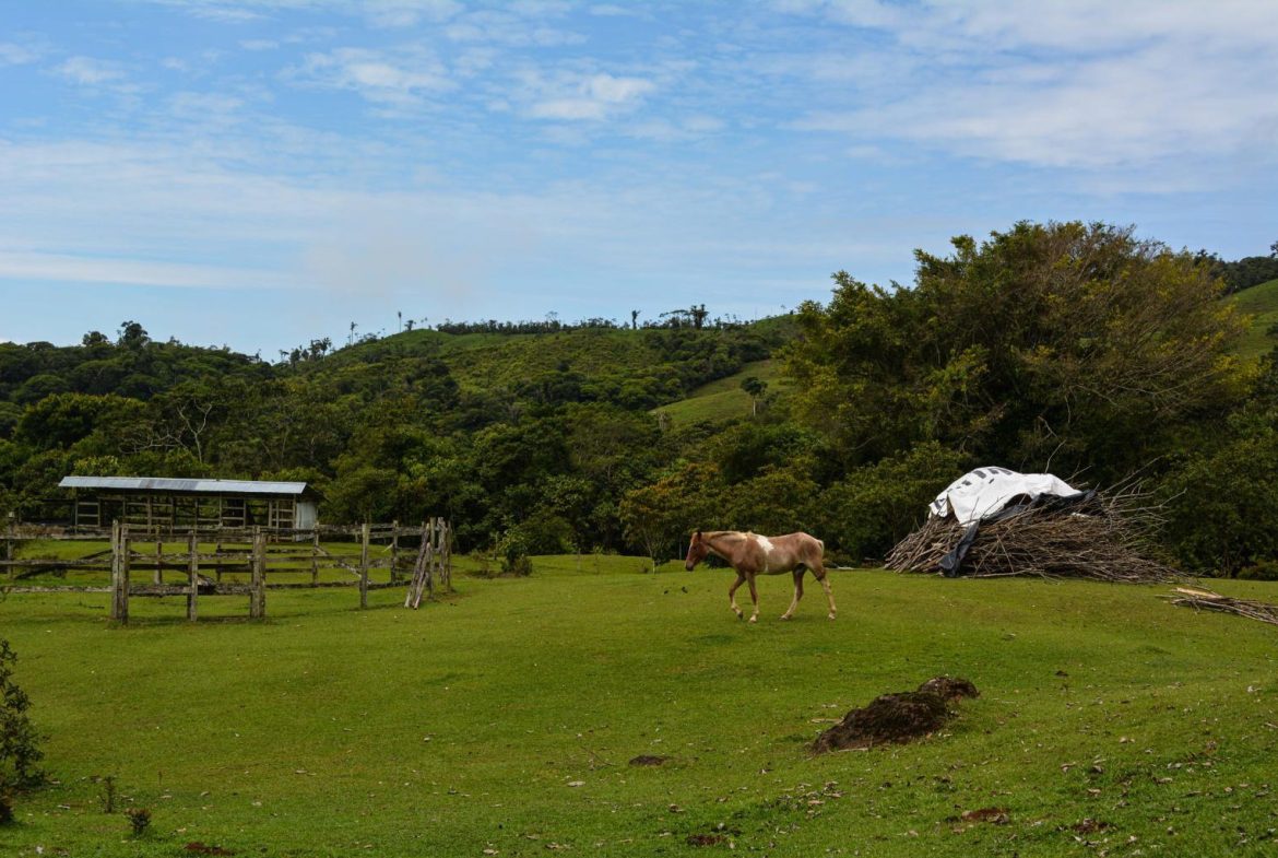 IMPRESSIVE FINCA RIO SAN ANTONIO – 263.9 ACRES