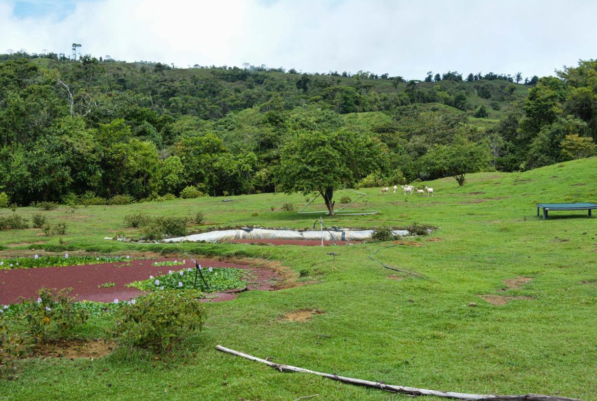 IMPRESSIVE FINCA RIO SAN ANTONIO – 263.9 ACRES