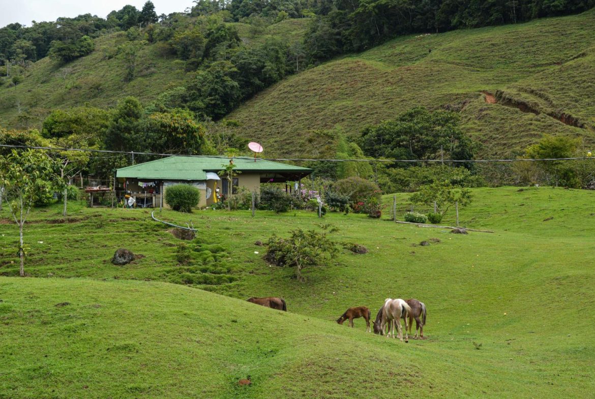 IMPRESSIVE FINCA RIO SAN ANTONIO – 263.9 ACRES