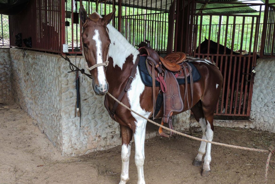 IMPRESSIVE FINCA RIO SAN ANTONIO – 263.9 ACRES