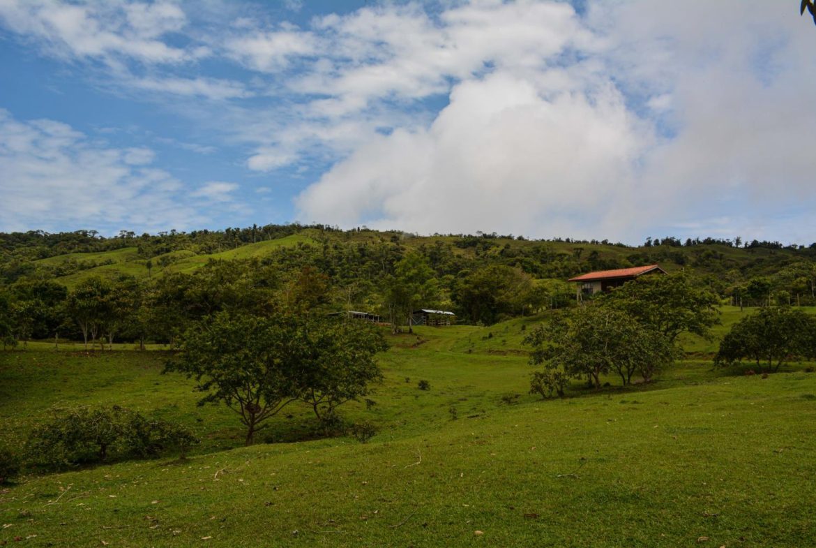 IMPRESSIVE FINCA RIO SAN ANTONIO – 263.9 ACRES
