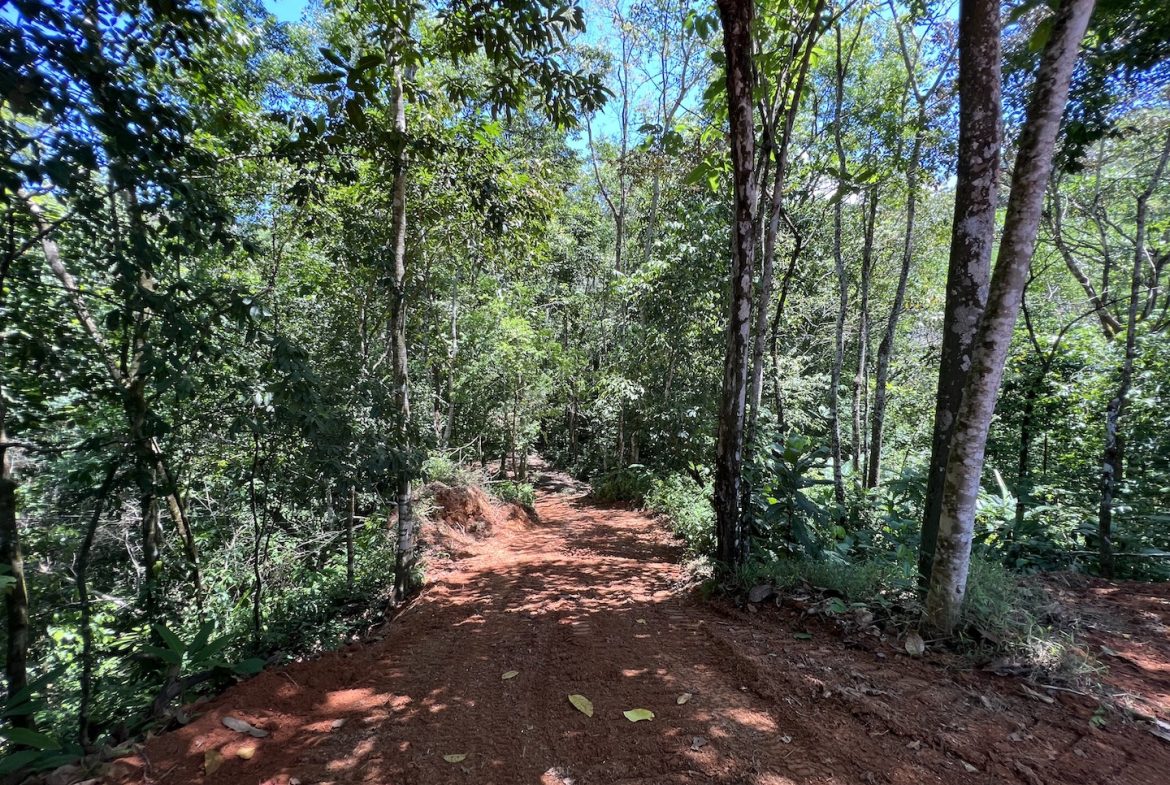 PROPERTY WITH WATERFALLS ACCESS, OCEAN, MOUNTAIN AND JUNGLE VIEWS – 75 ACRES