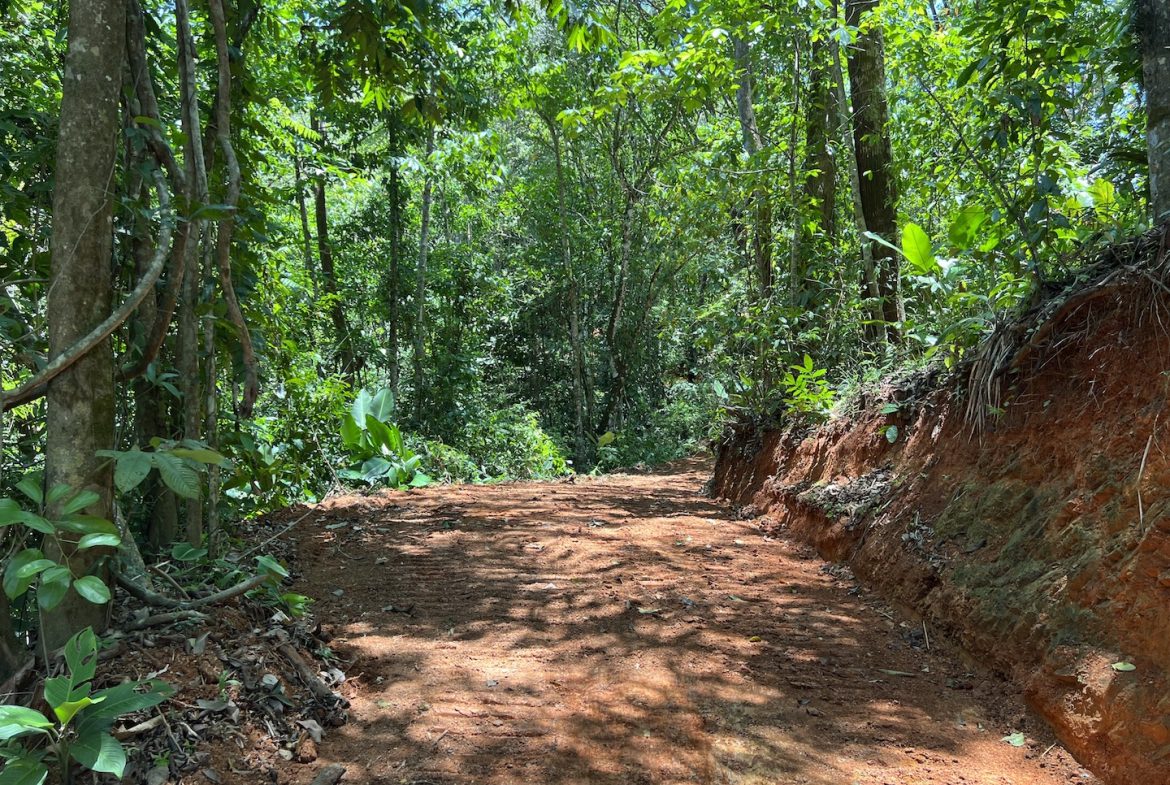 PROPERTY WITH WATERFALLS ACCESS, OCEAN, MOUNTAIN AND JUNGLE VIEWS – 75 ACRES